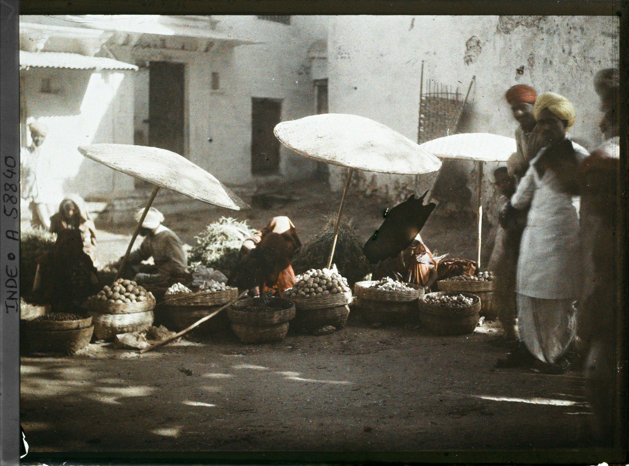 Image représentant Marchands de légumes