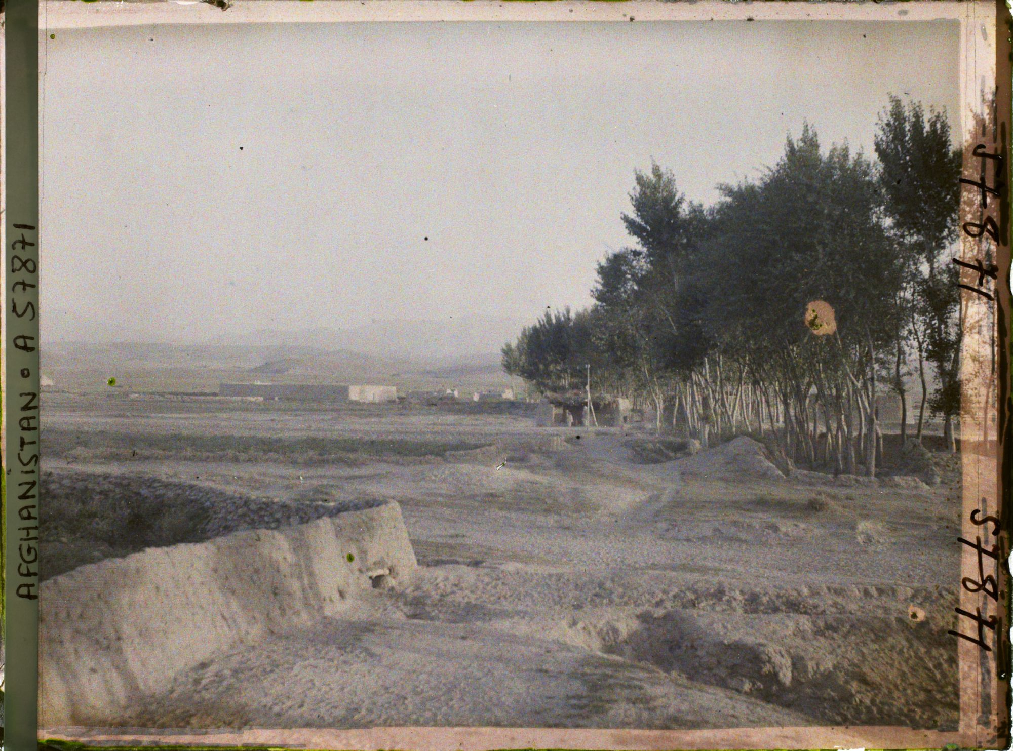 Image représentant Vers le village et une allée de bouleaux