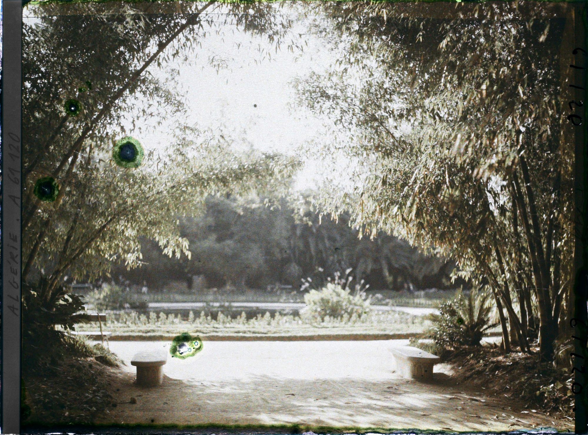 Image représentant Le jardin Français dans le jardin d'Essais