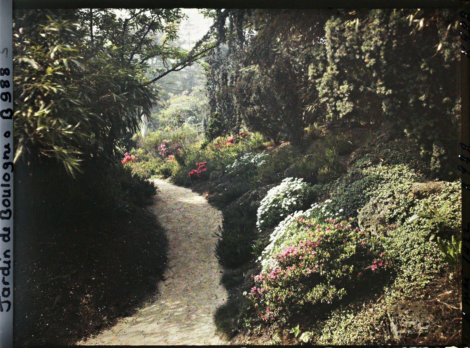Image représentant Chemin non loin du torii situé entre les ponts, reliant le verger-roseraie au " sanctuaire japonais "