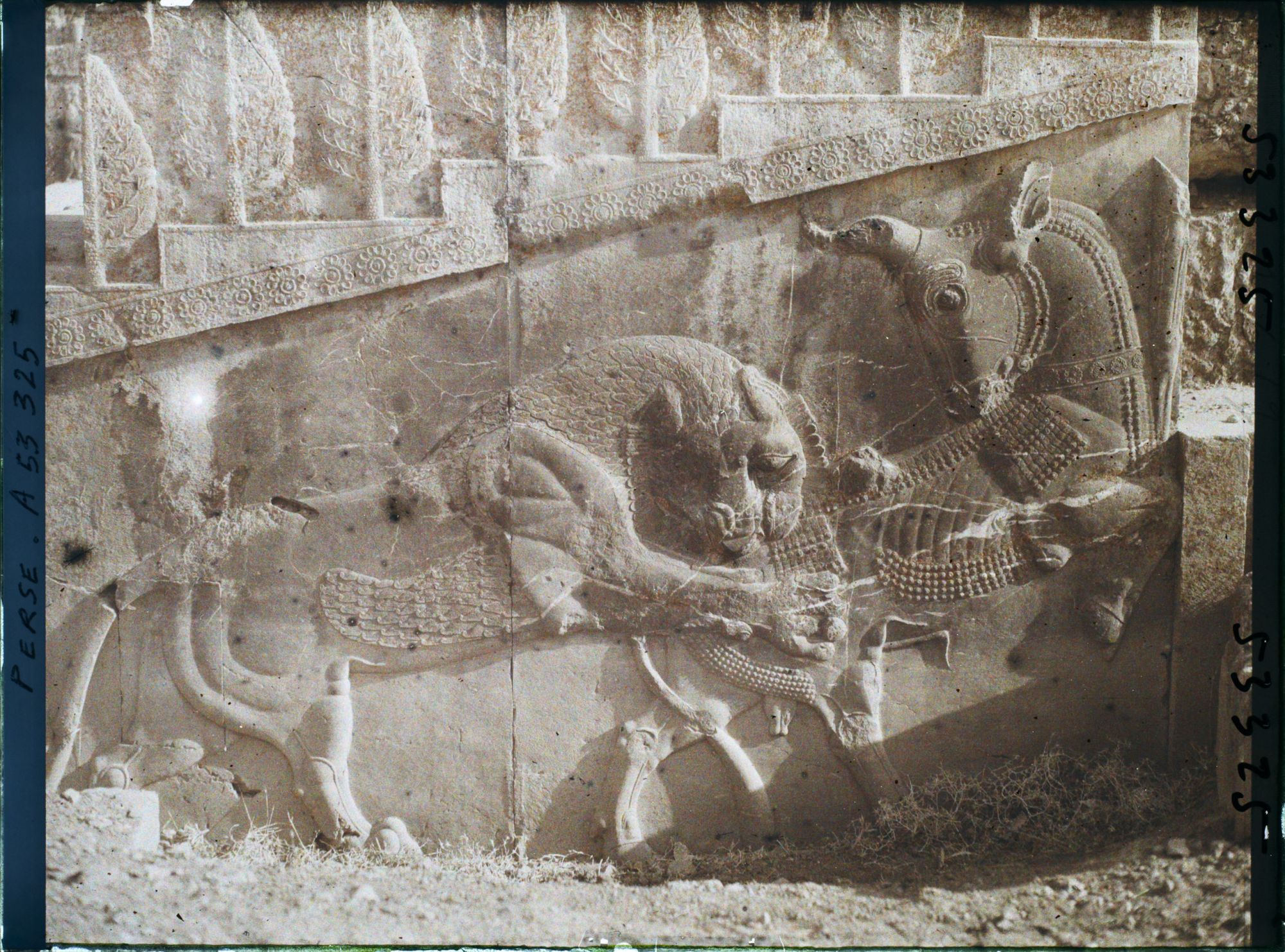 Image représentant Escalier nord de l'Apadana, combat du lion et du taureau