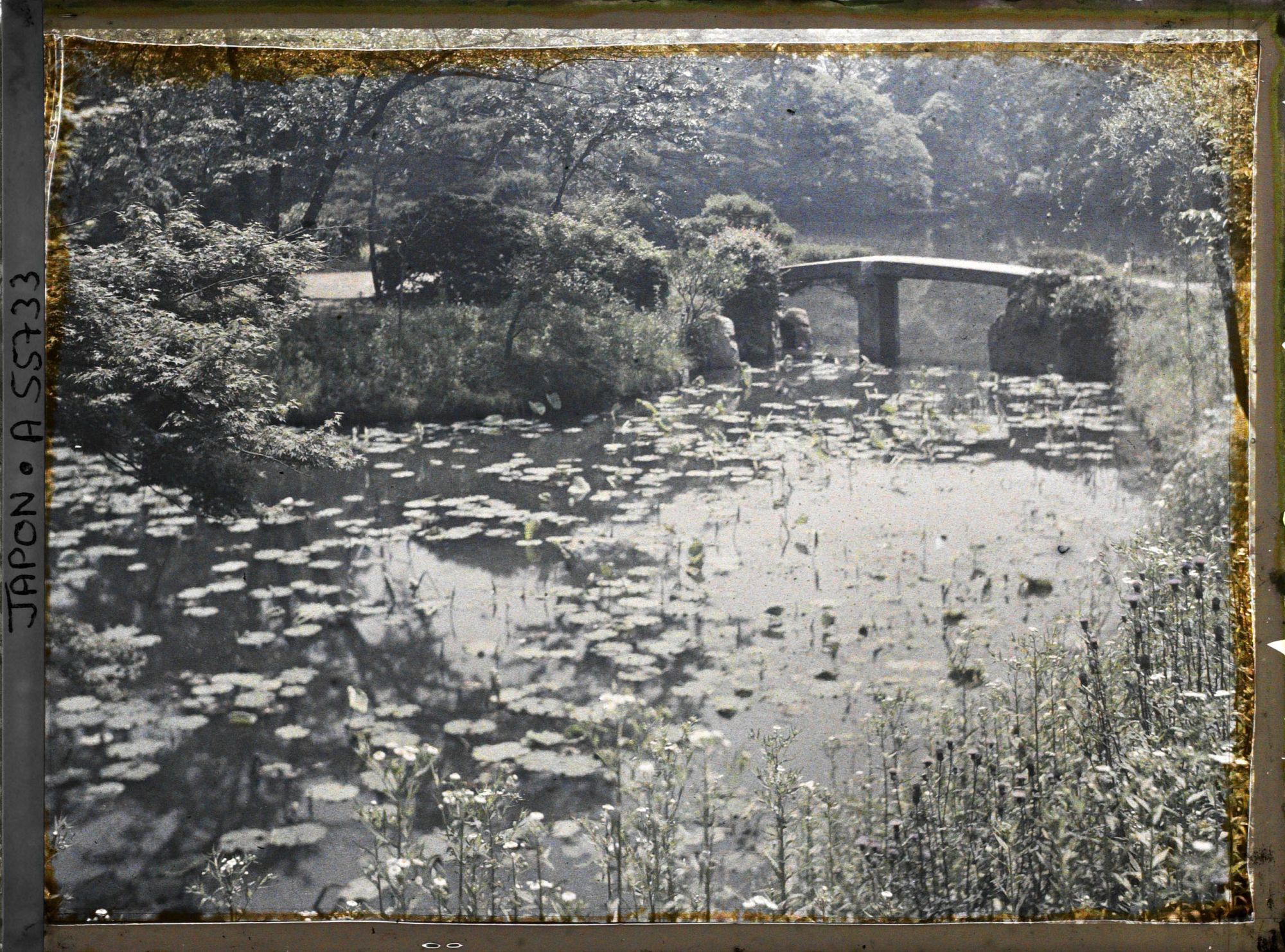 Image représentant Koishikawa Kôrakuen (jardin de l'Arsenal), le bassin des lotus (hasu-ike)
