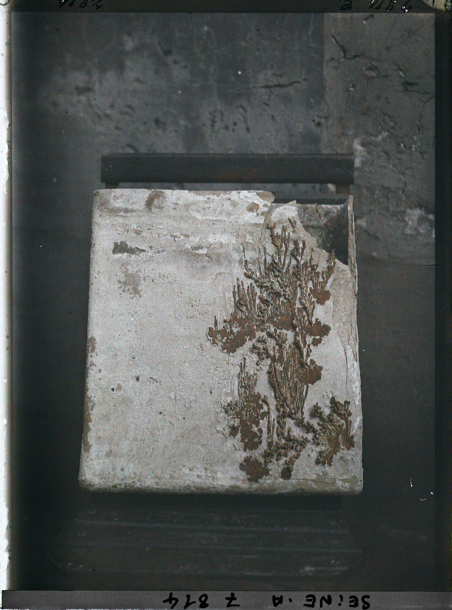 Image représentant Moulage ?