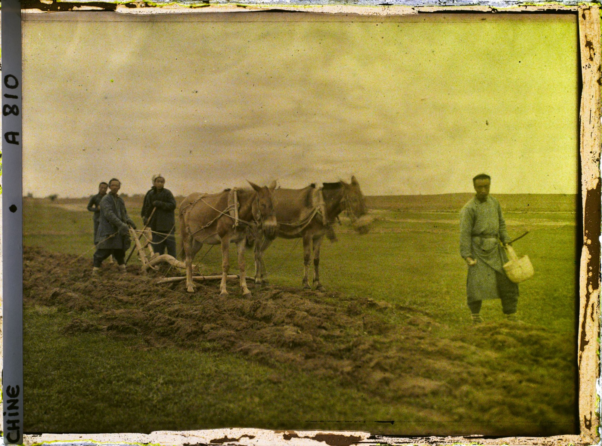 Image représentant Dans les champs