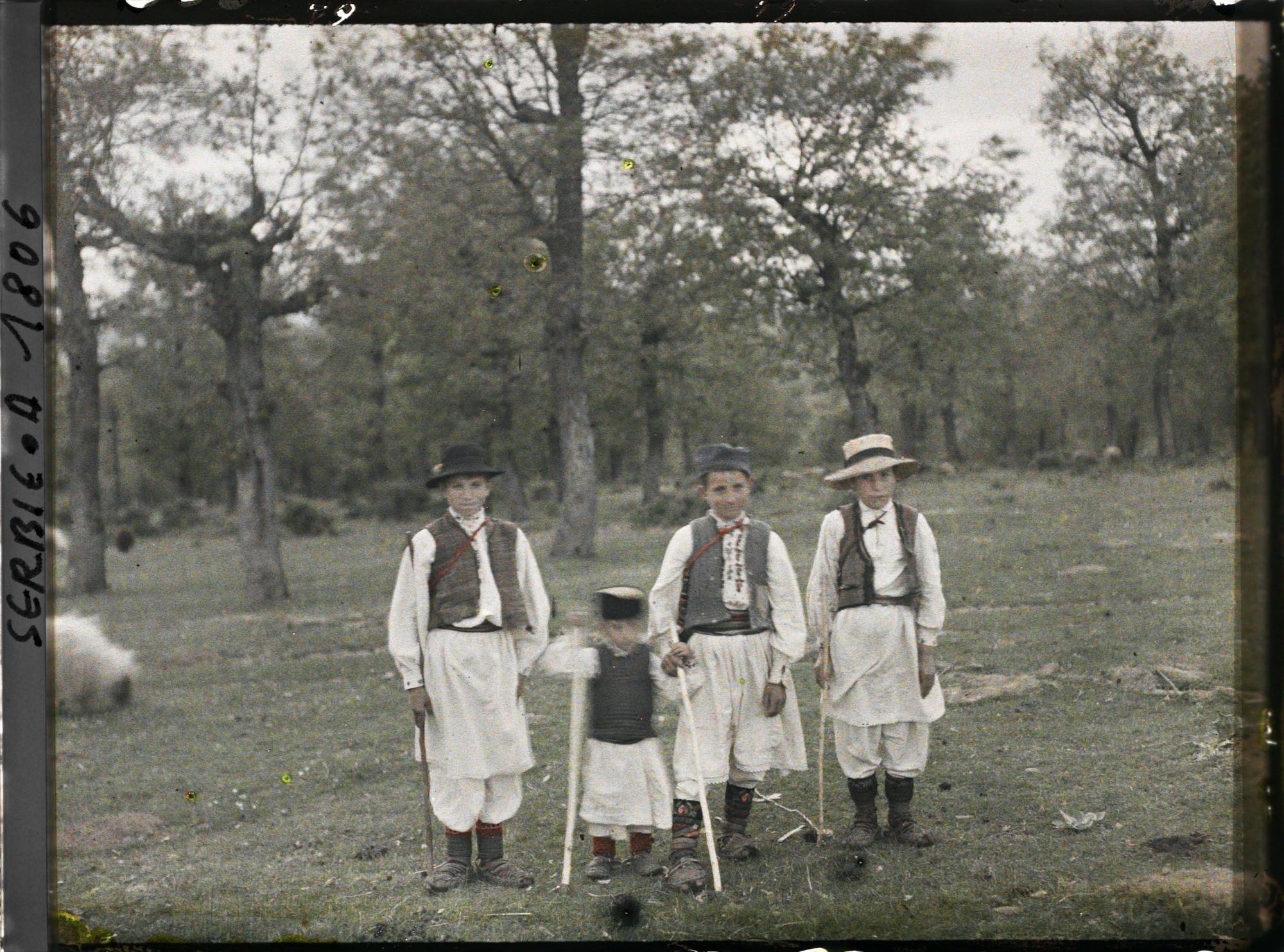 Image représentant Groupe de bergers sur la route d'Avala