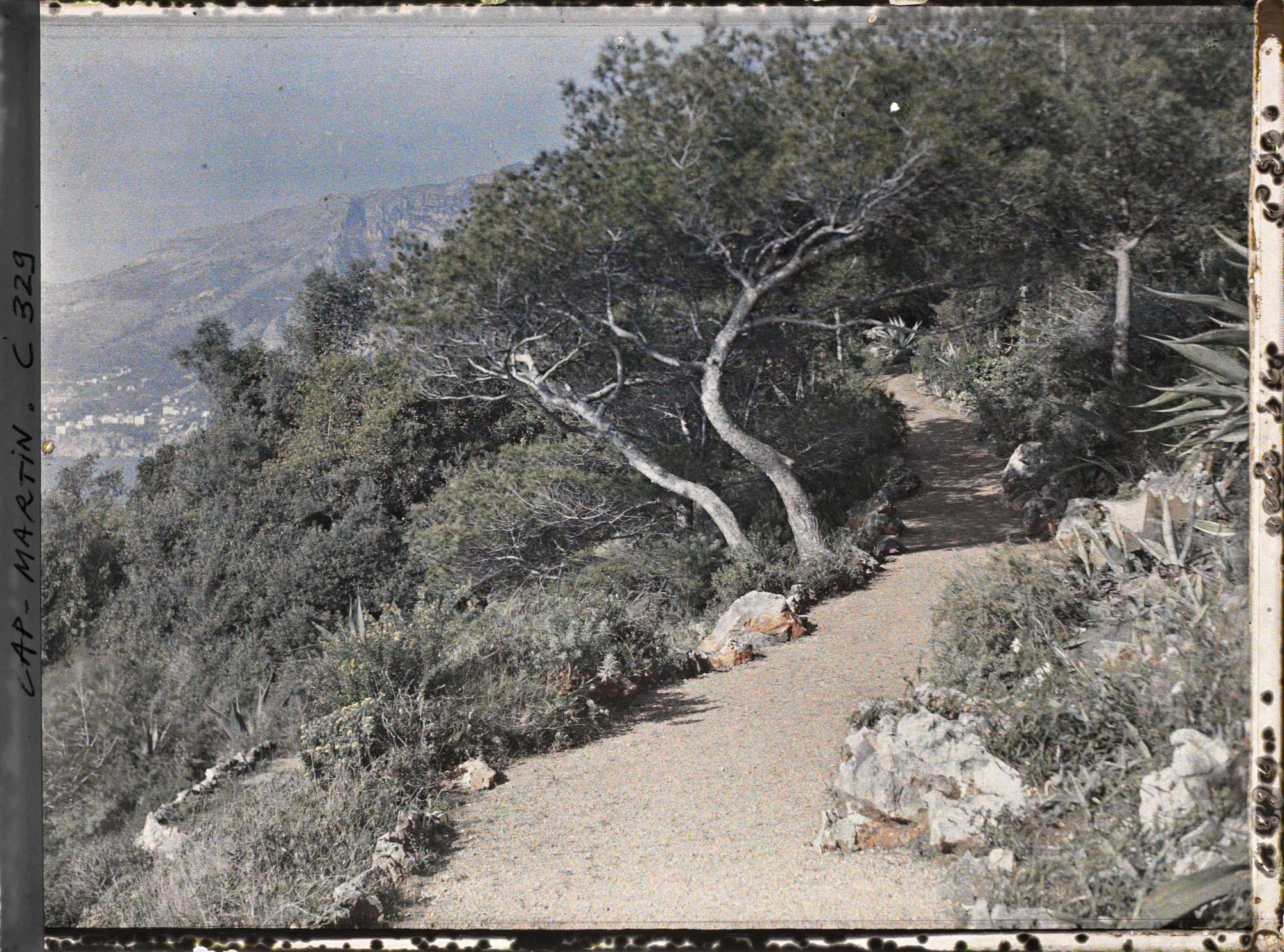 Image représentant Cap-Martin - Le Jardin