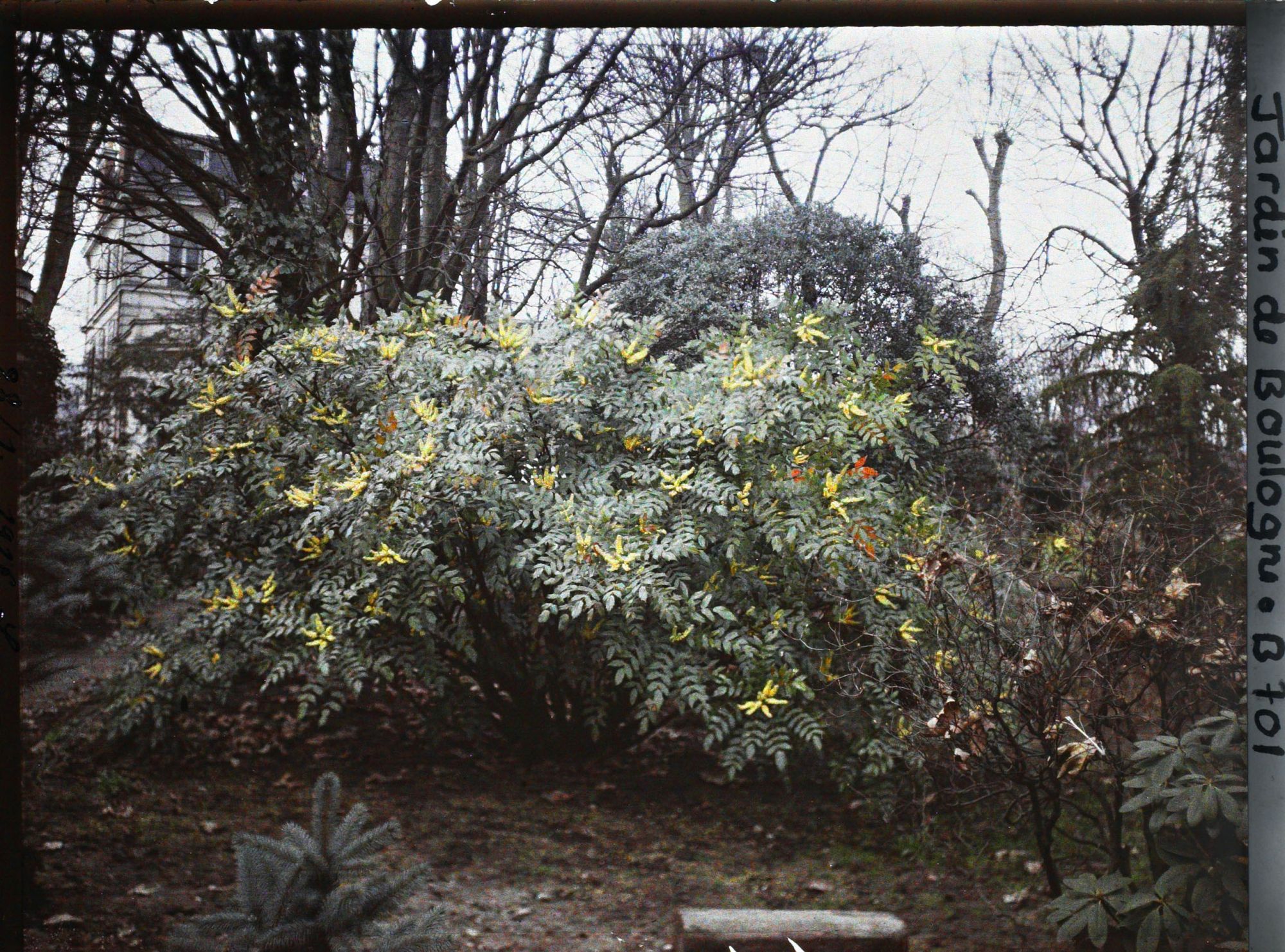Image représentant jardins, à l'arrière plan le bâtiment abritant le Cercle autour du Monde