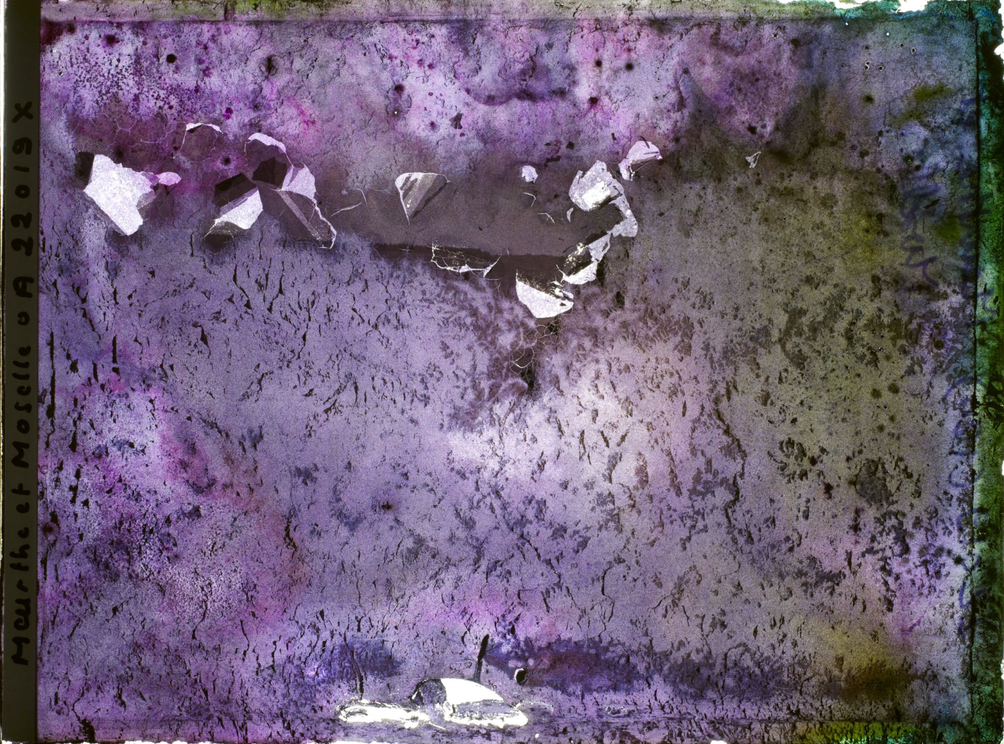 Image représentant Image illisible, plaque endommagée par l'eau (altérations d'époque)