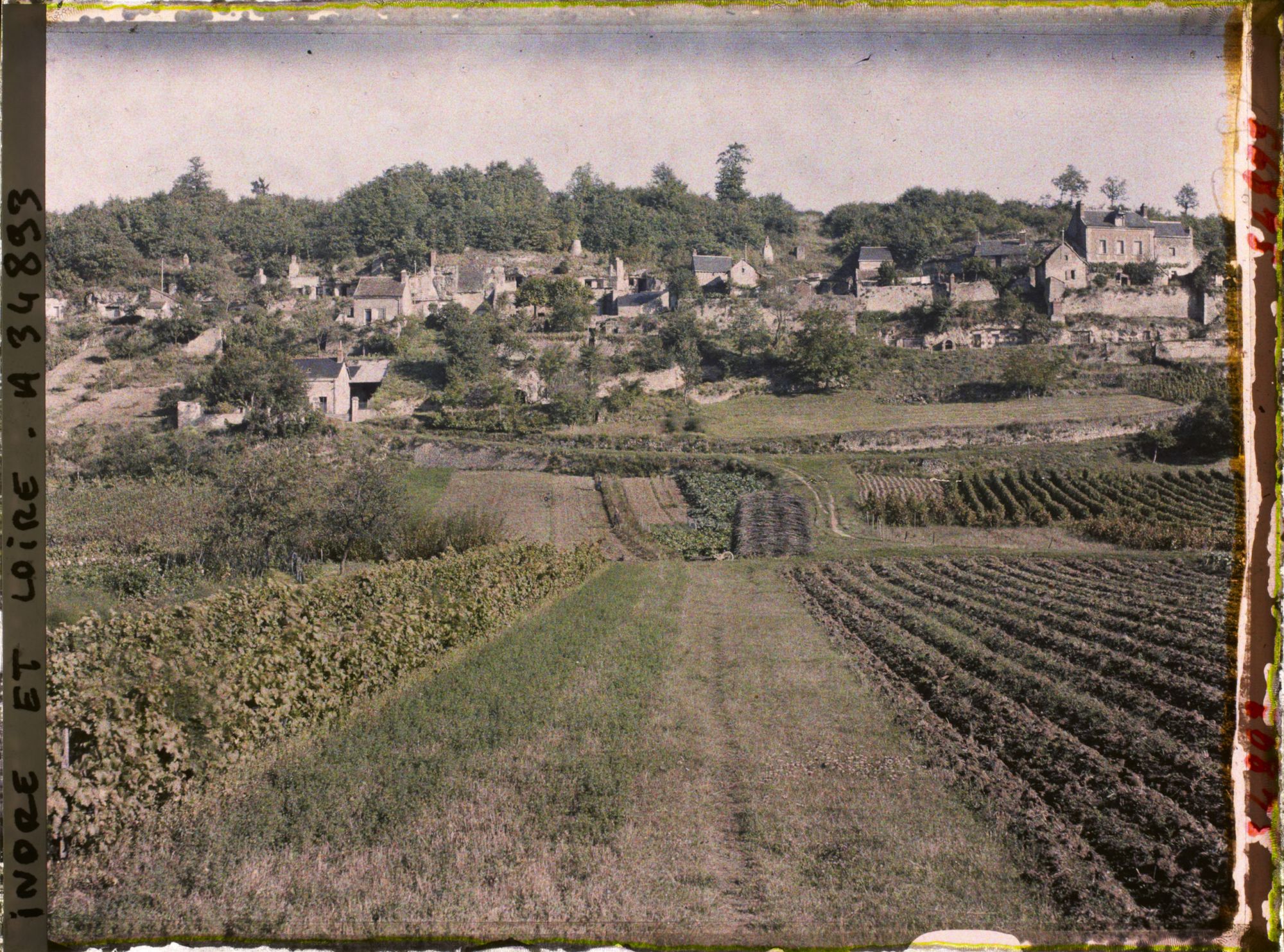 Image représentant Vignoble des coteaux de Vouvray