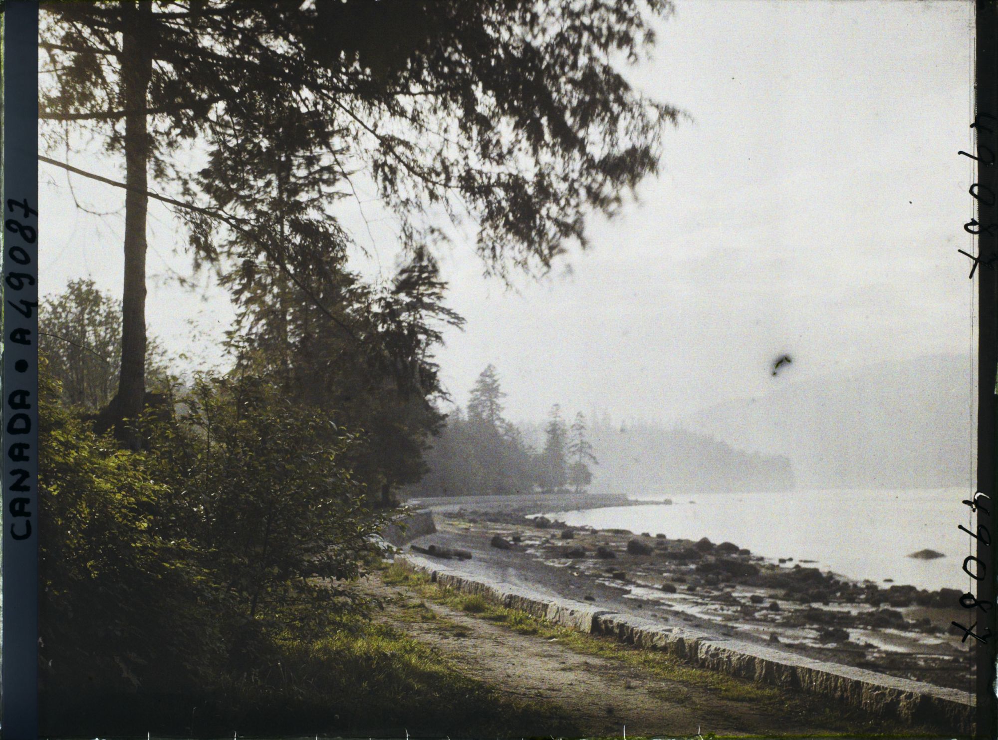 Image représentant Canada, Vancouver, Paysage du Soir à la pointe de Brockton