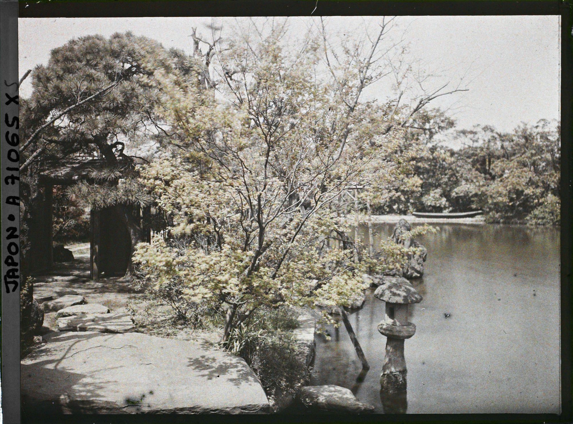 Image représentant Jardin ou parc