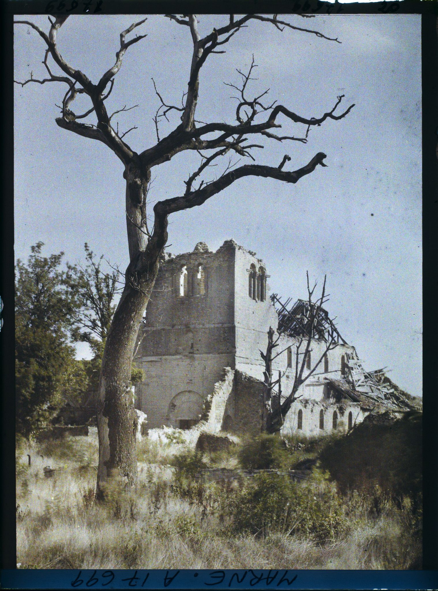 Image représentant France, St Thierry, Extérieur de l'Eglise
