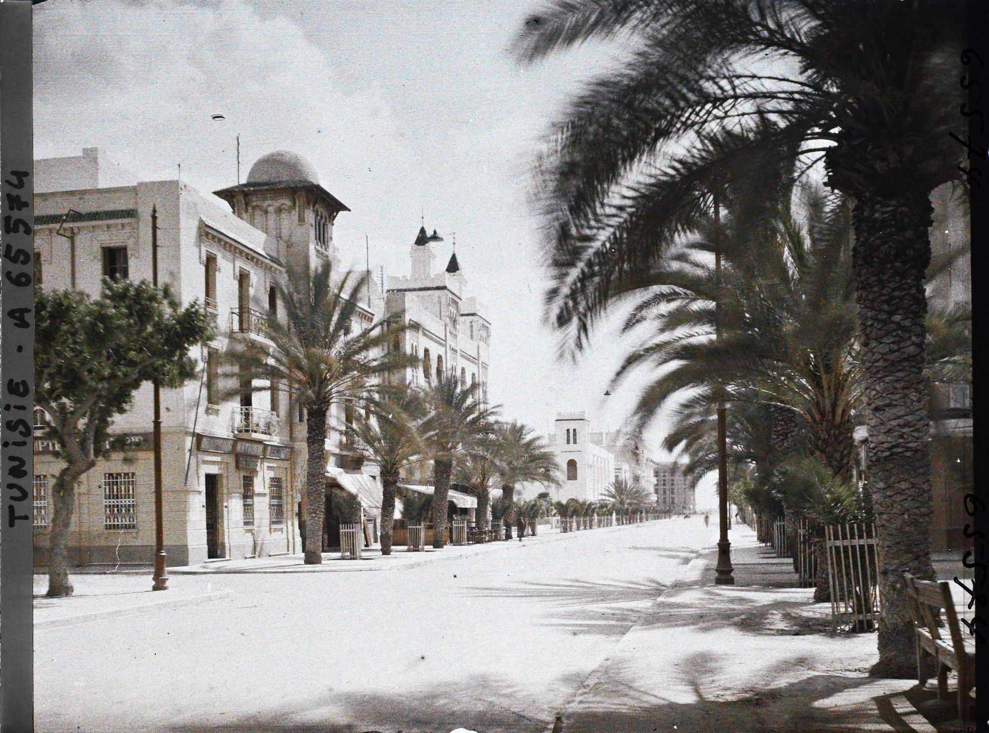 Image représentant L'avenue Jules Gau