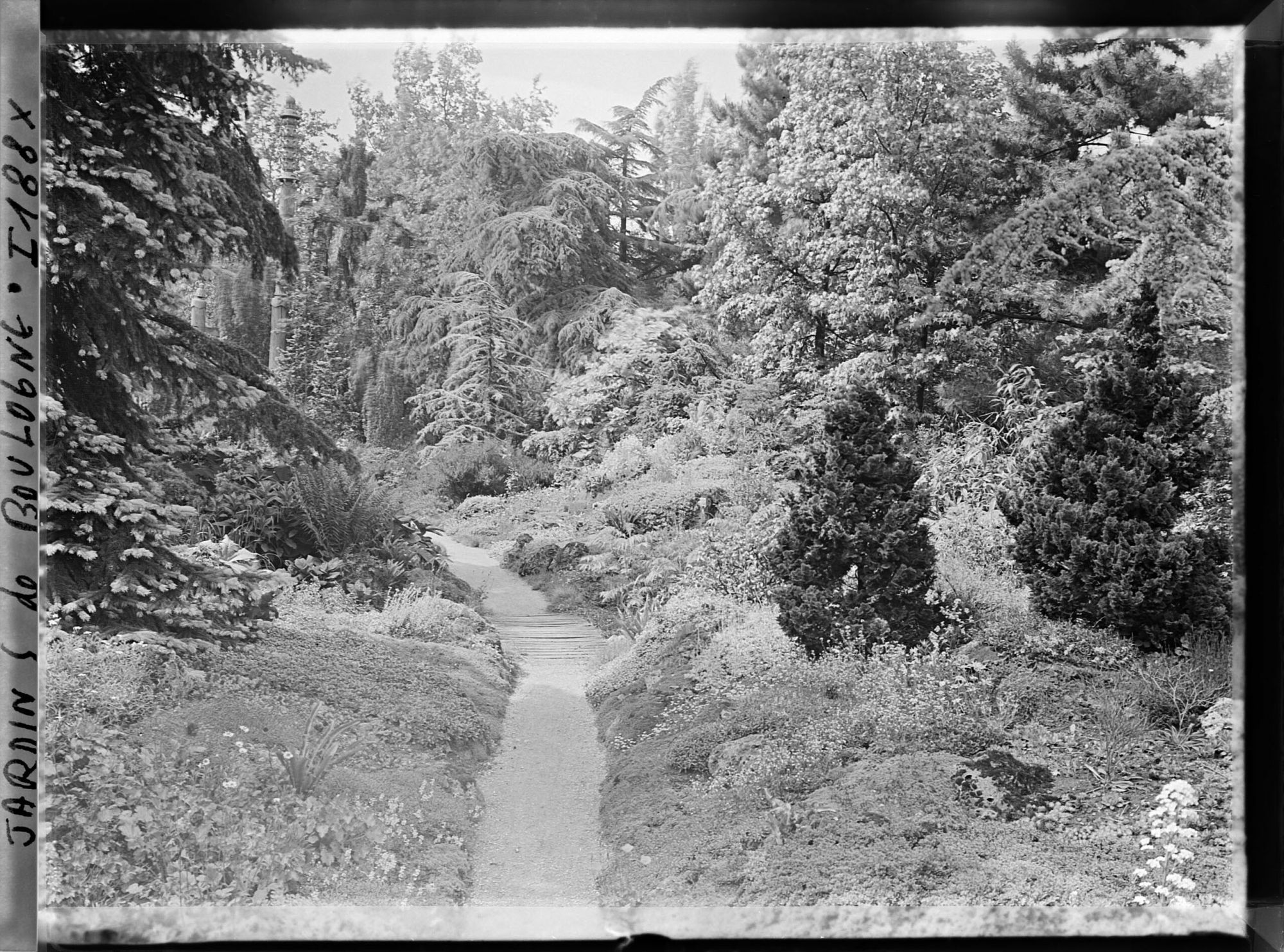 Image représentant Chemin du " sanctuaire japonais " menant au sorinto et rocaille fleurie ponctuée de conifères