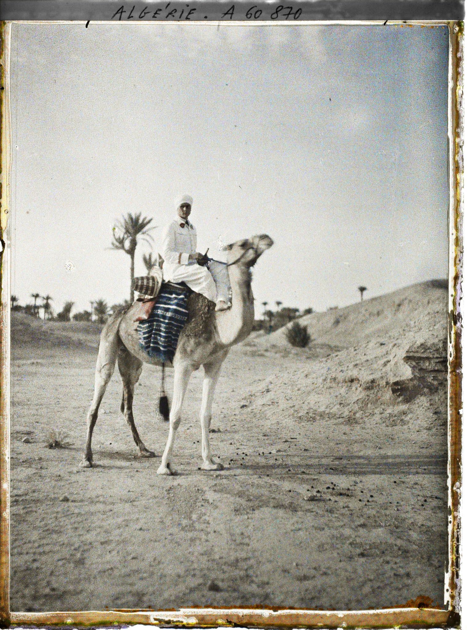 Image représentant Un officier méhariste sur sa monture