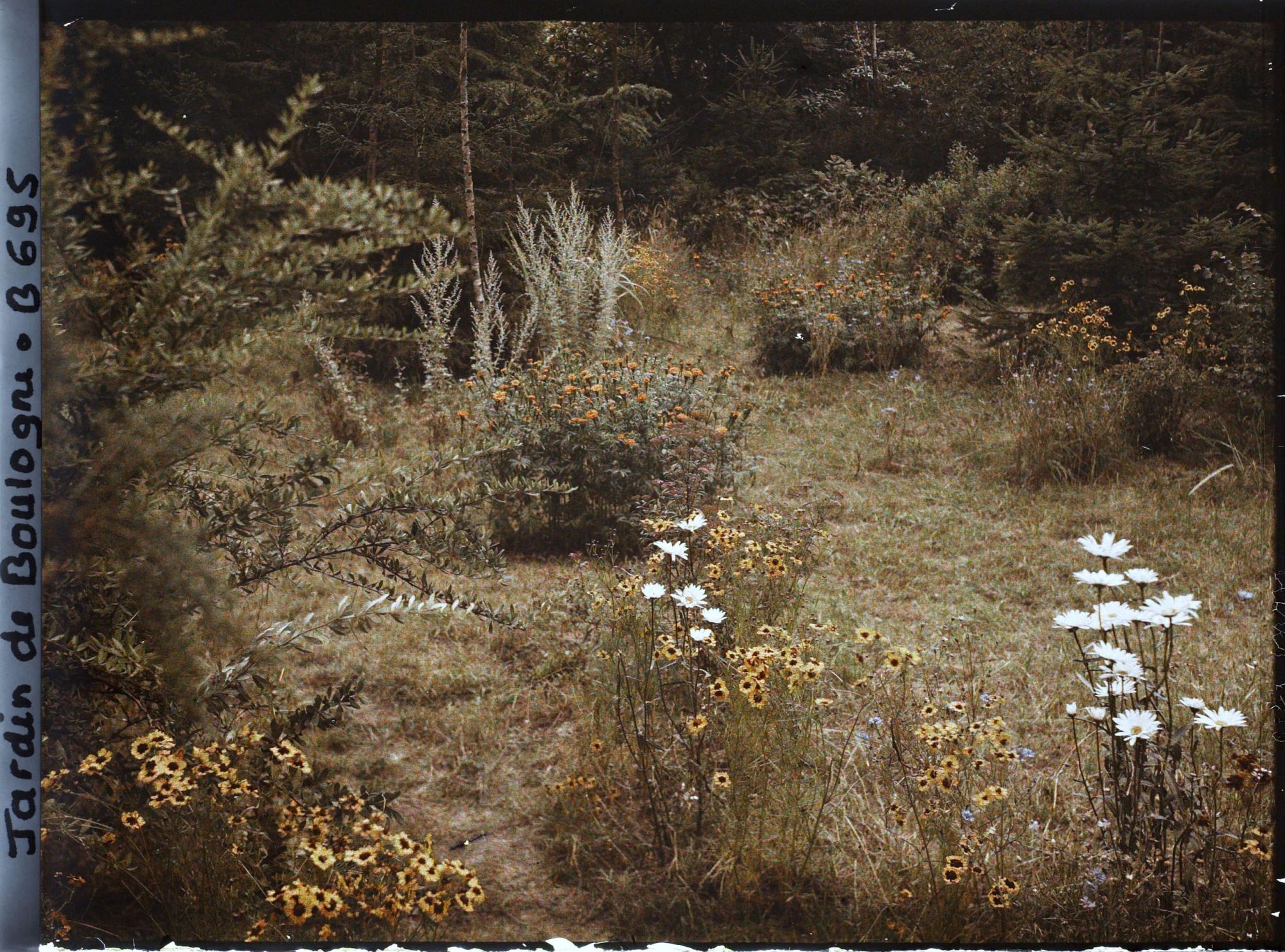 Image représentant La prairie