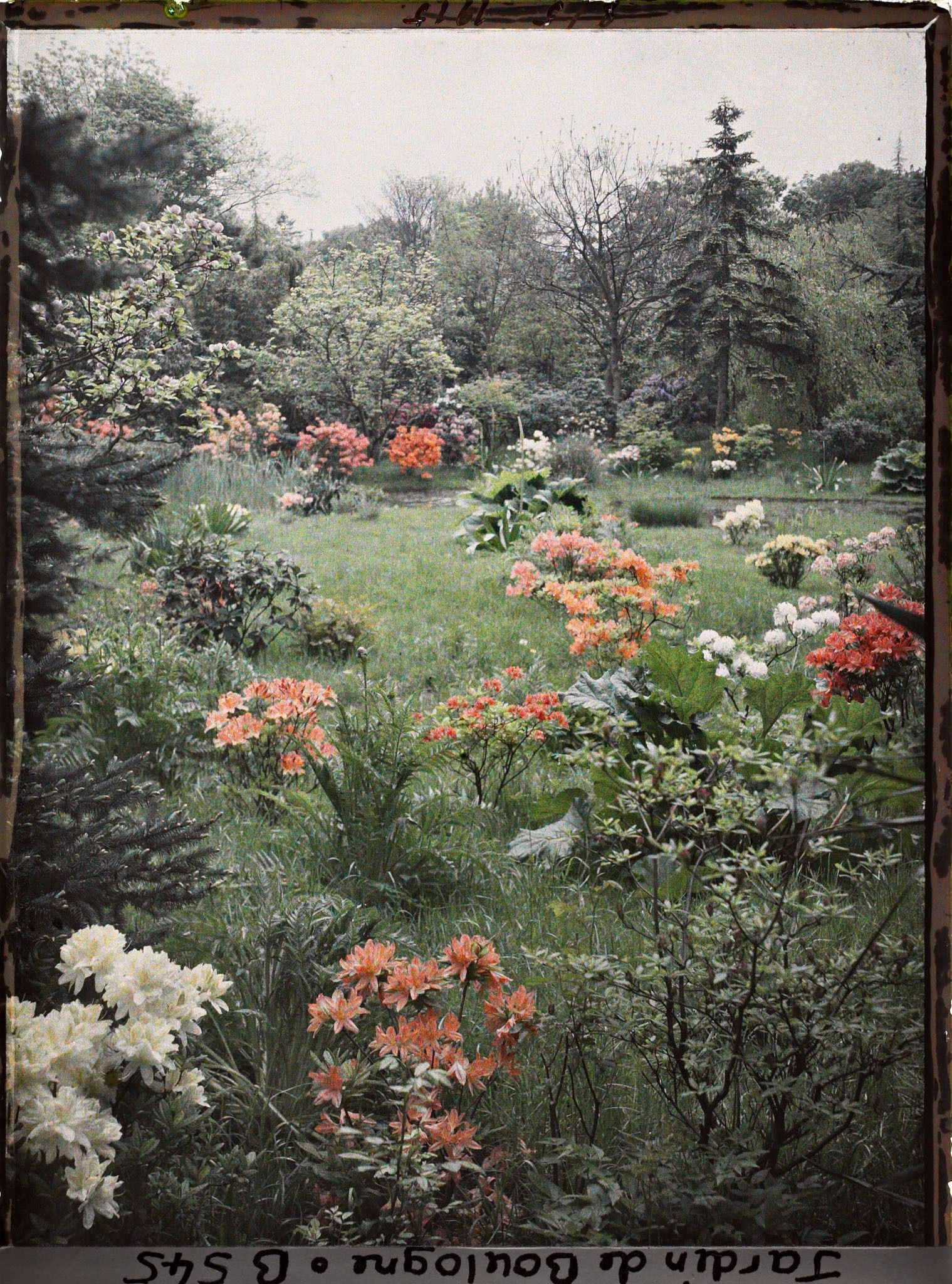 Image représentant " Étangs " du marais, vus de l'ouest en direction du nord-est