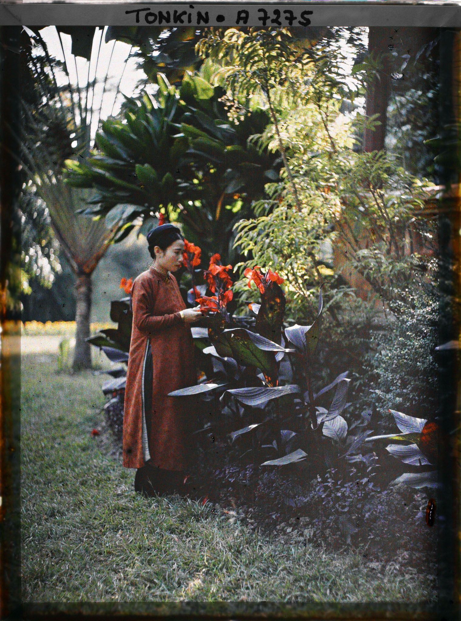 Image représentant Une jeune femme de classe aisée, dans un jardin public
