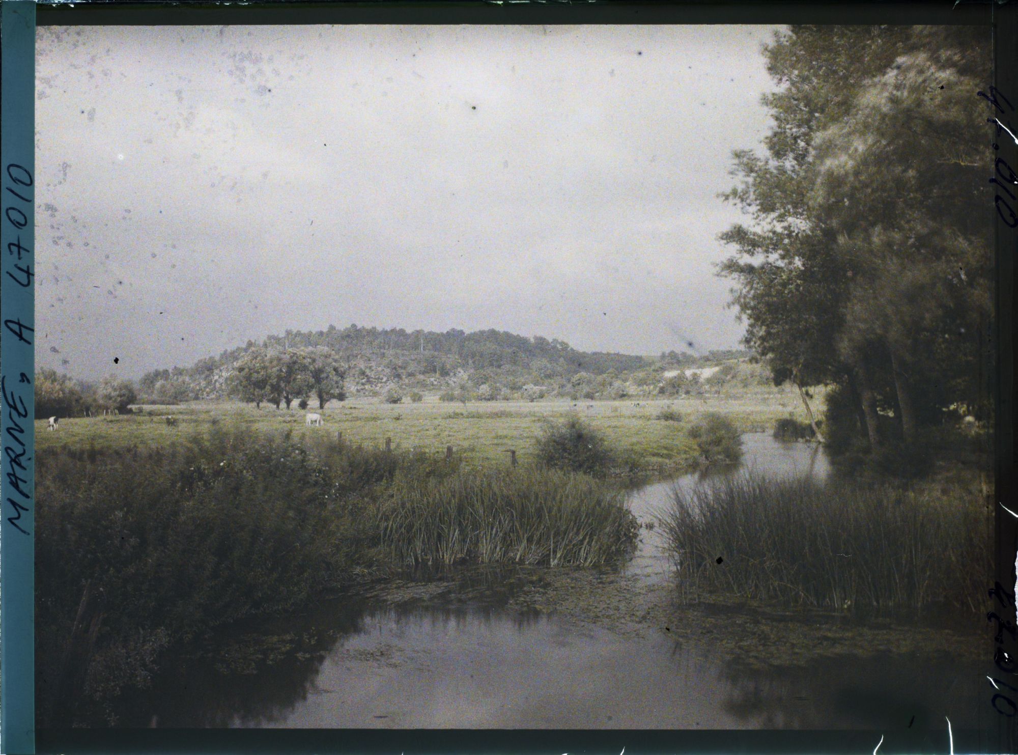 Image représentant France, Vienne la Ville Marne (340 h), Vue de la vallée de l'Aisne à Vienne la Ville