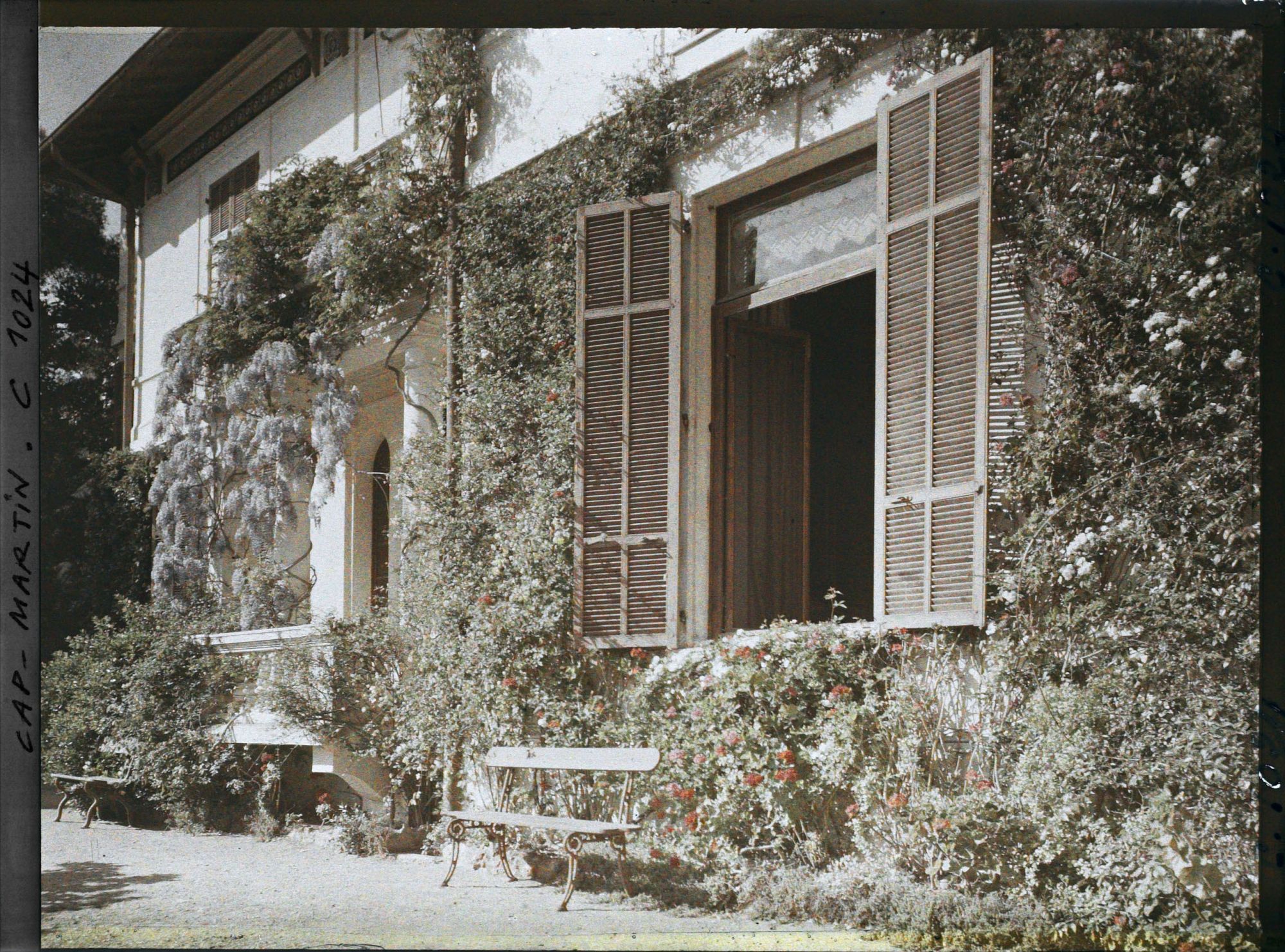 Image représentant La villa Miramar et sa glycine