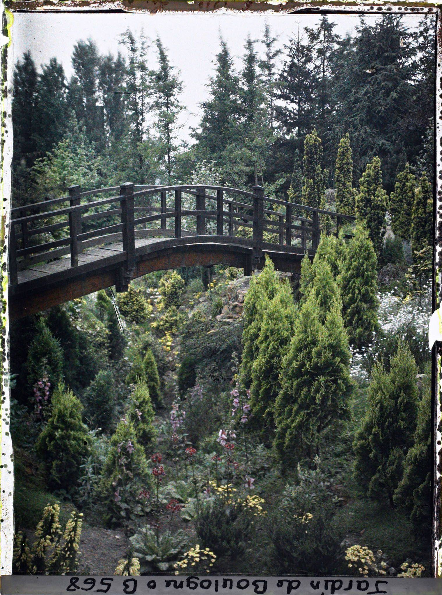 Image représentant Vallon fleuri ponctué de conifères, enjambé par un pont du " sanctuaire japonais " proche du sôrintô