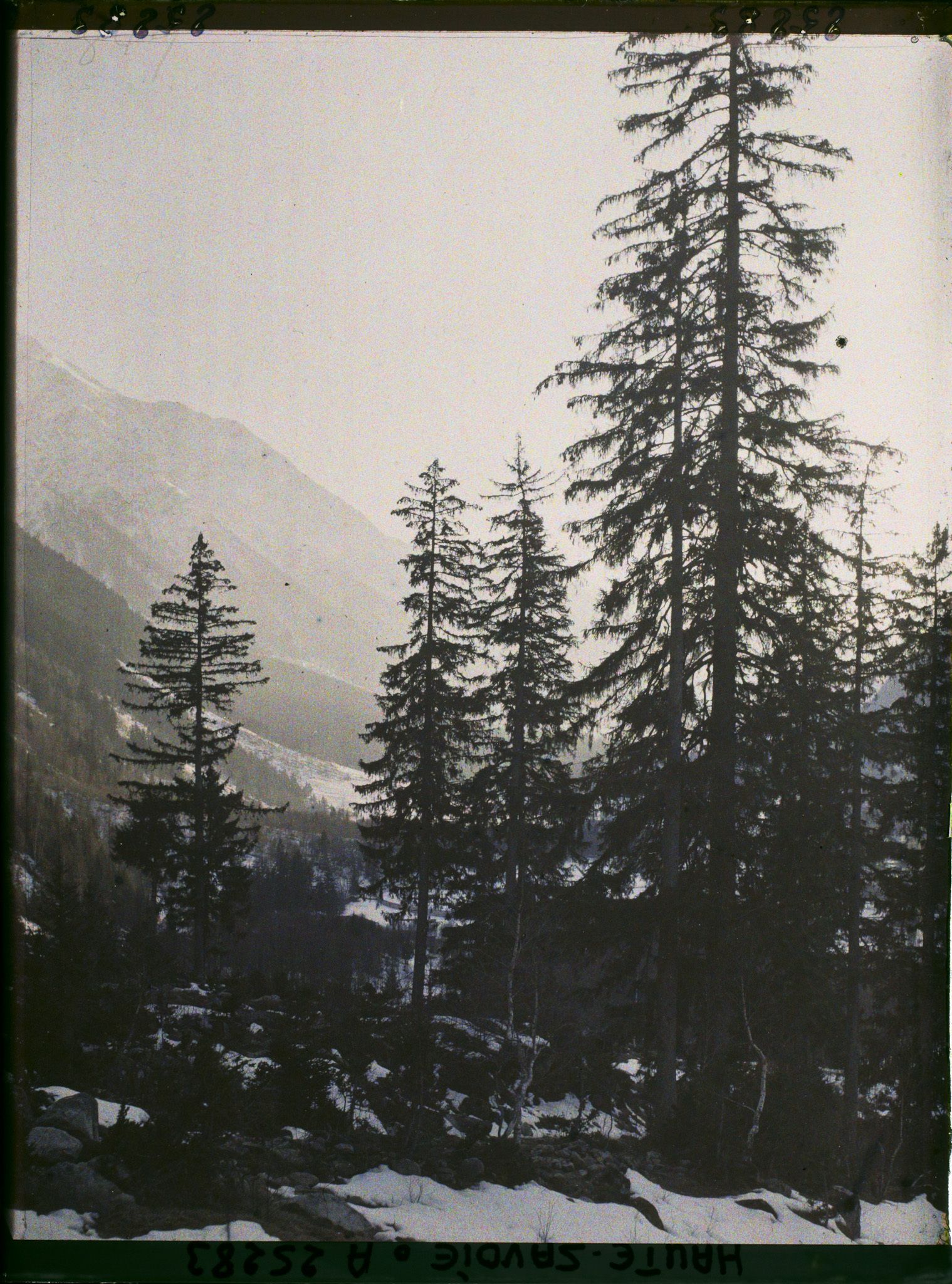 Image représentant France Les Alpes, Vallée de Chamonix - Soleil Couchant s/ la Vallée de Chamonix