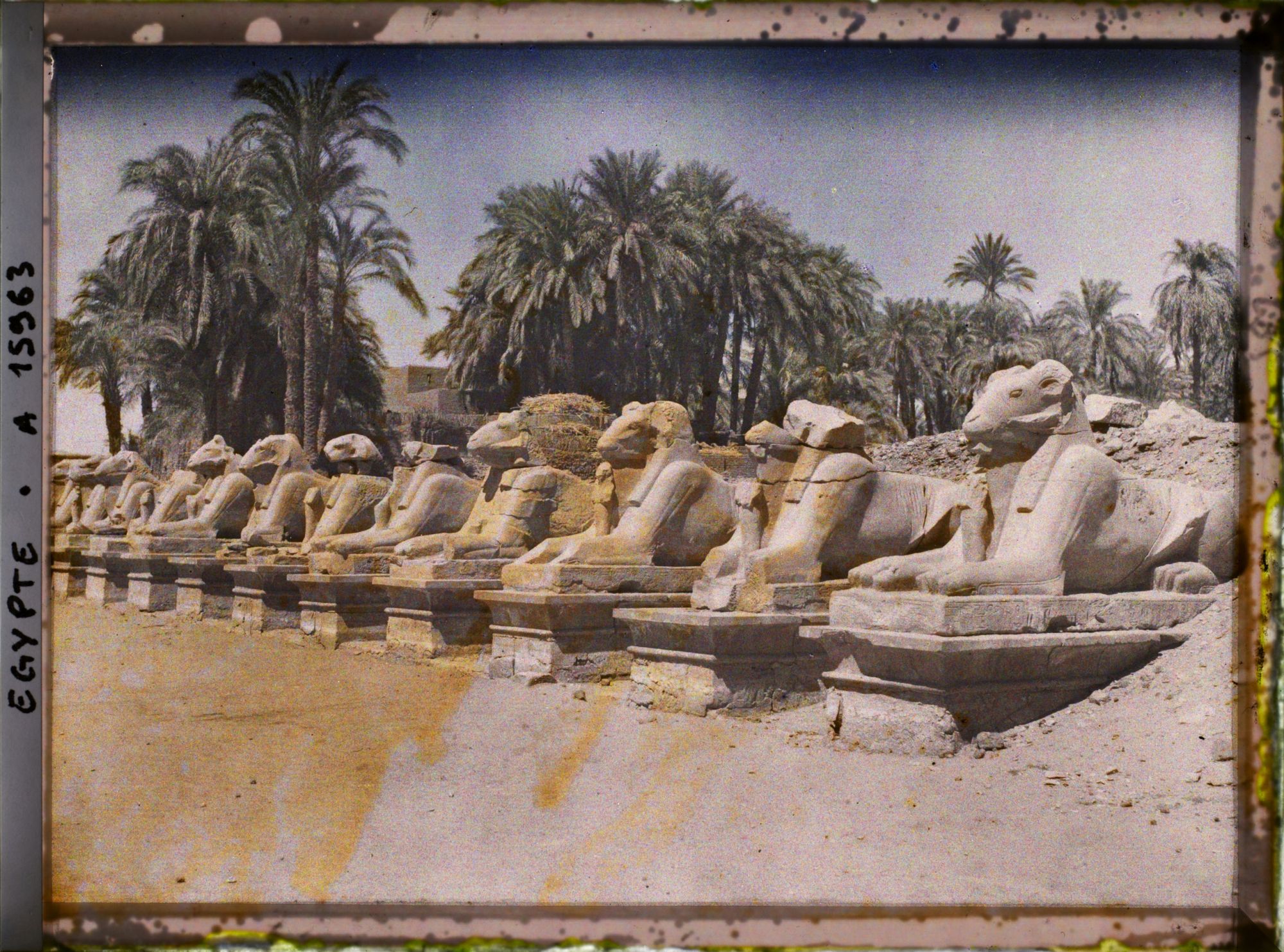 Image représentant Allée de béliers menant au temple d'Amon