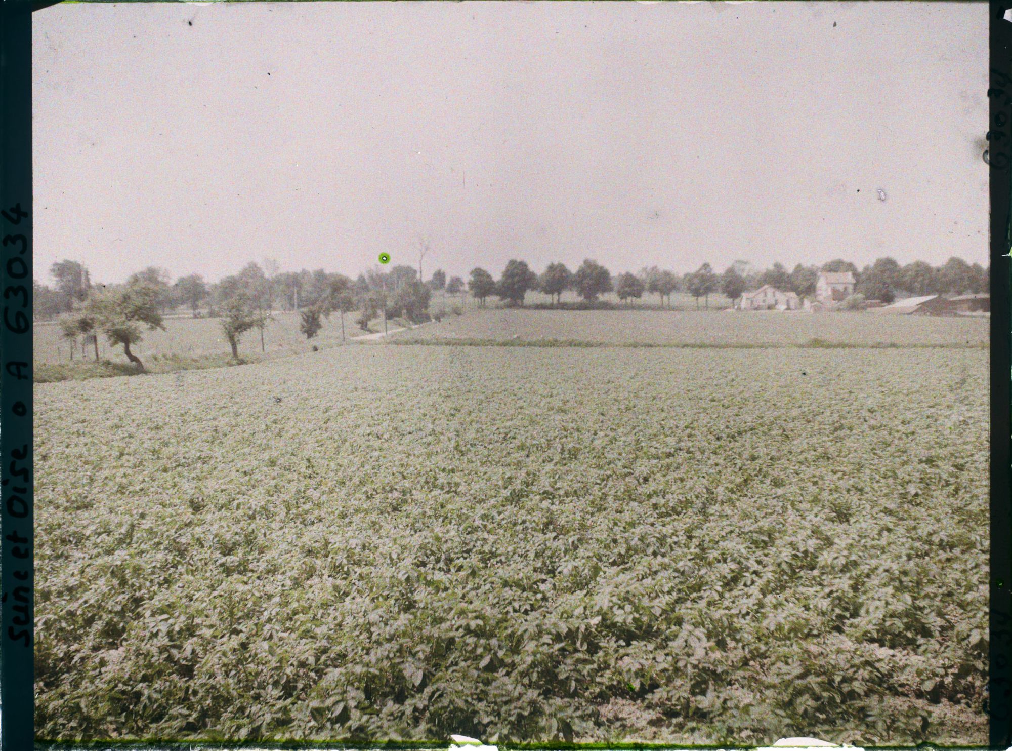 Image représentant Ile de France, Magny-en-Vexin, Culture de pommes de terre