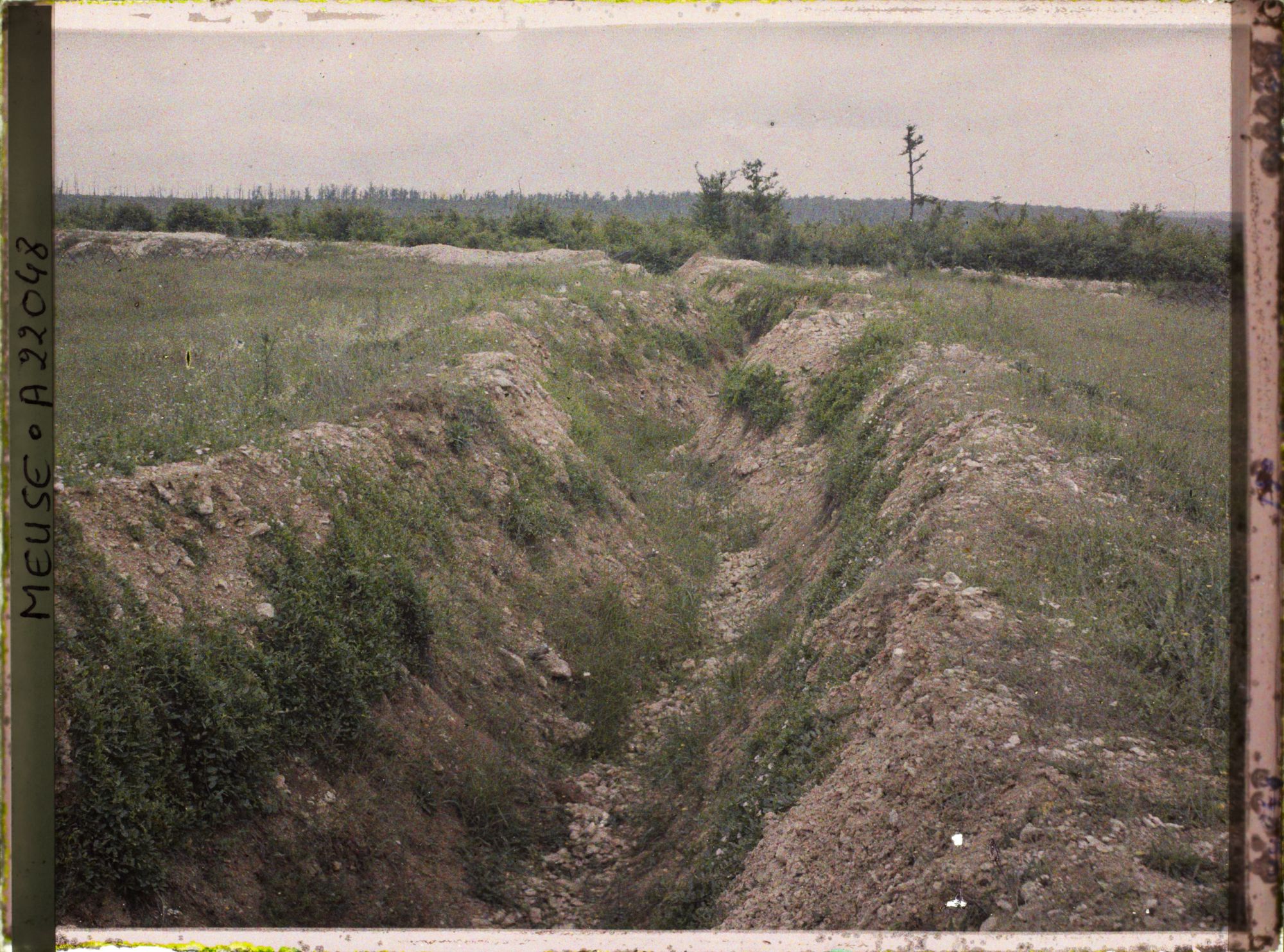 Image représentant France, Boyau à la Tête à Vache, dans le fond, bois de la Louvière