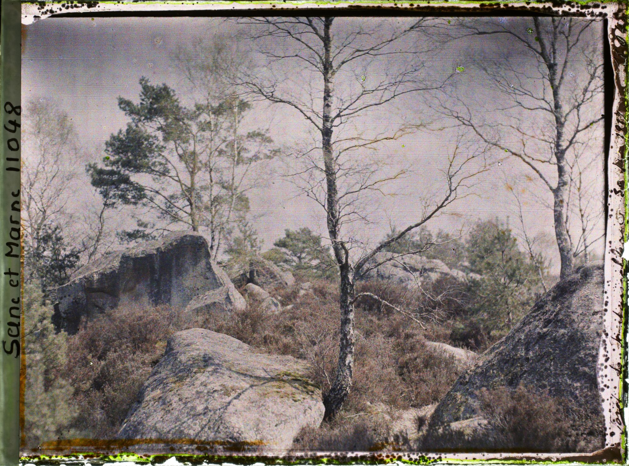 Image représentant France, Fontainebleau, Forêt de Fontainebleau