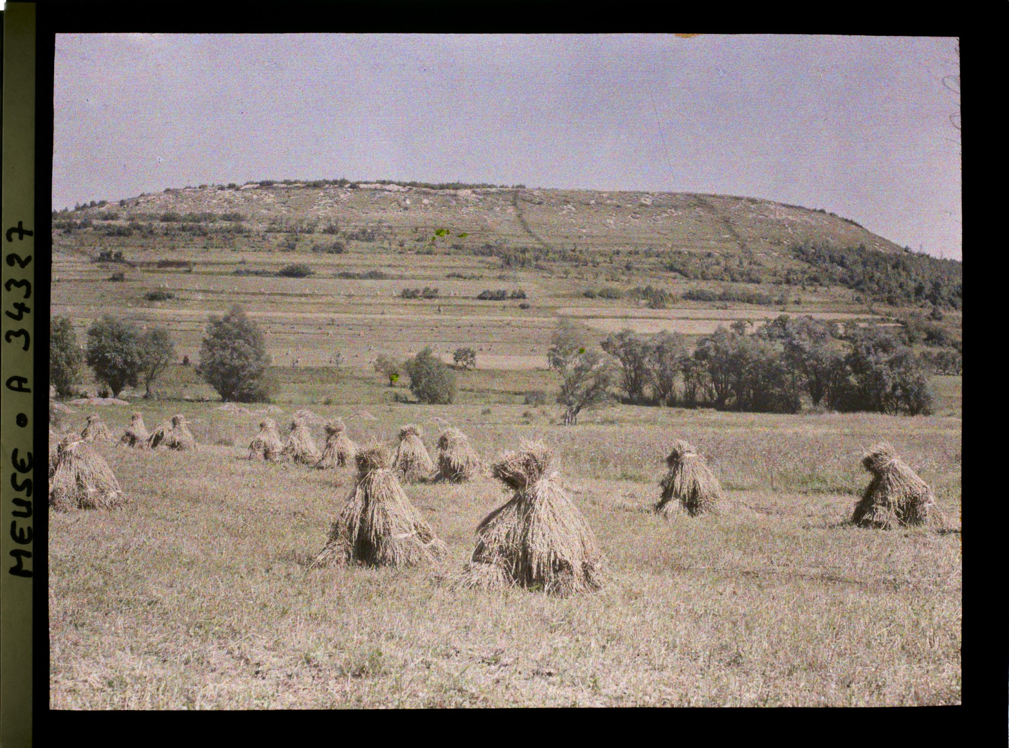 Image représentant France, Les Eparges, Ensemble de la Crête des Eparges, vue prise du ruisseau des Eparges.