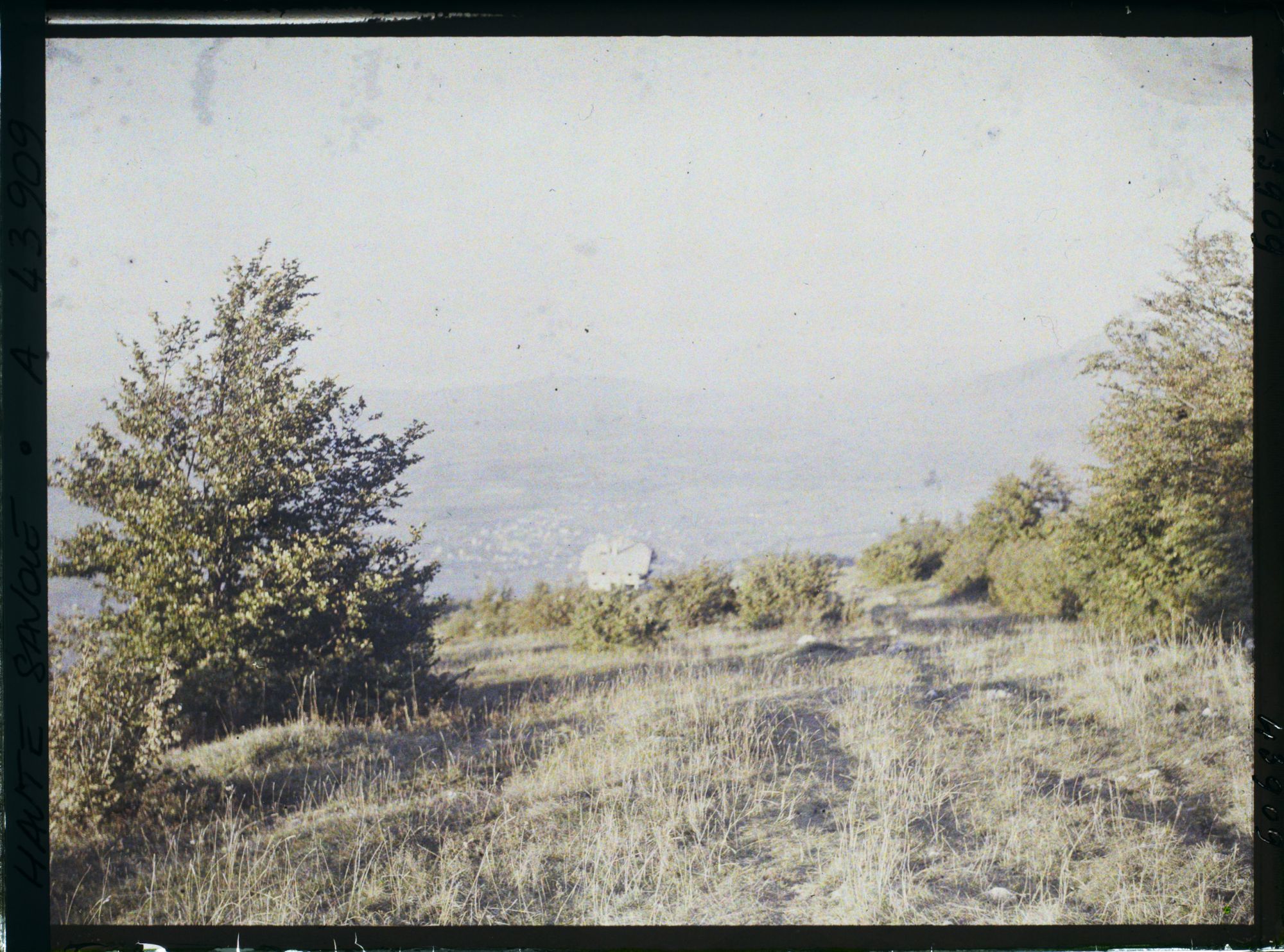Image représentant France, Le Salève, Le Soir paysage du Gd Salève