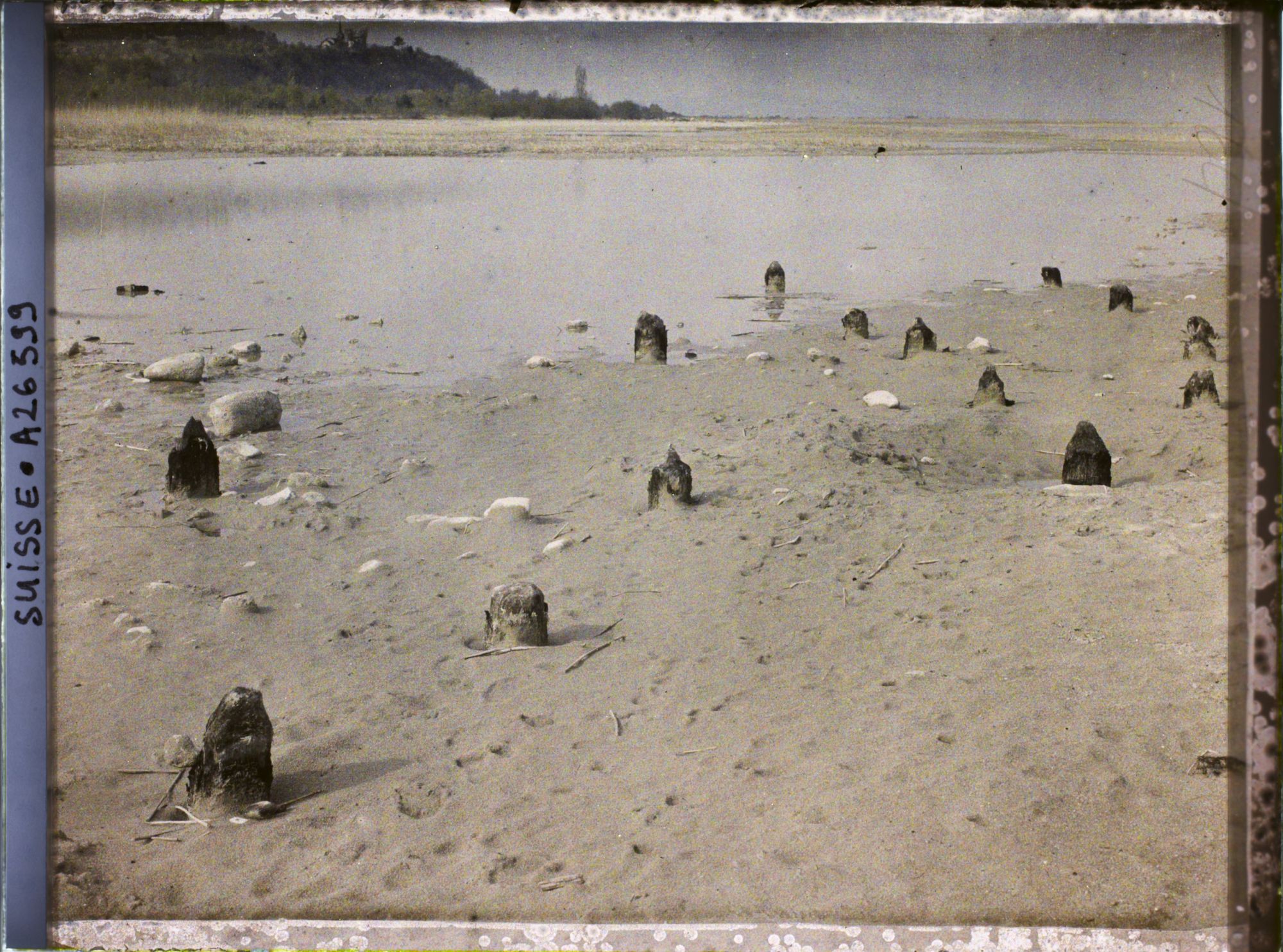Image représentant Site palafittique préhistorique des Alpes, pieux en bois visibles lors de la baisse des eaux après la grande sécheresse de 1921 sur le lac de Neuchâtel