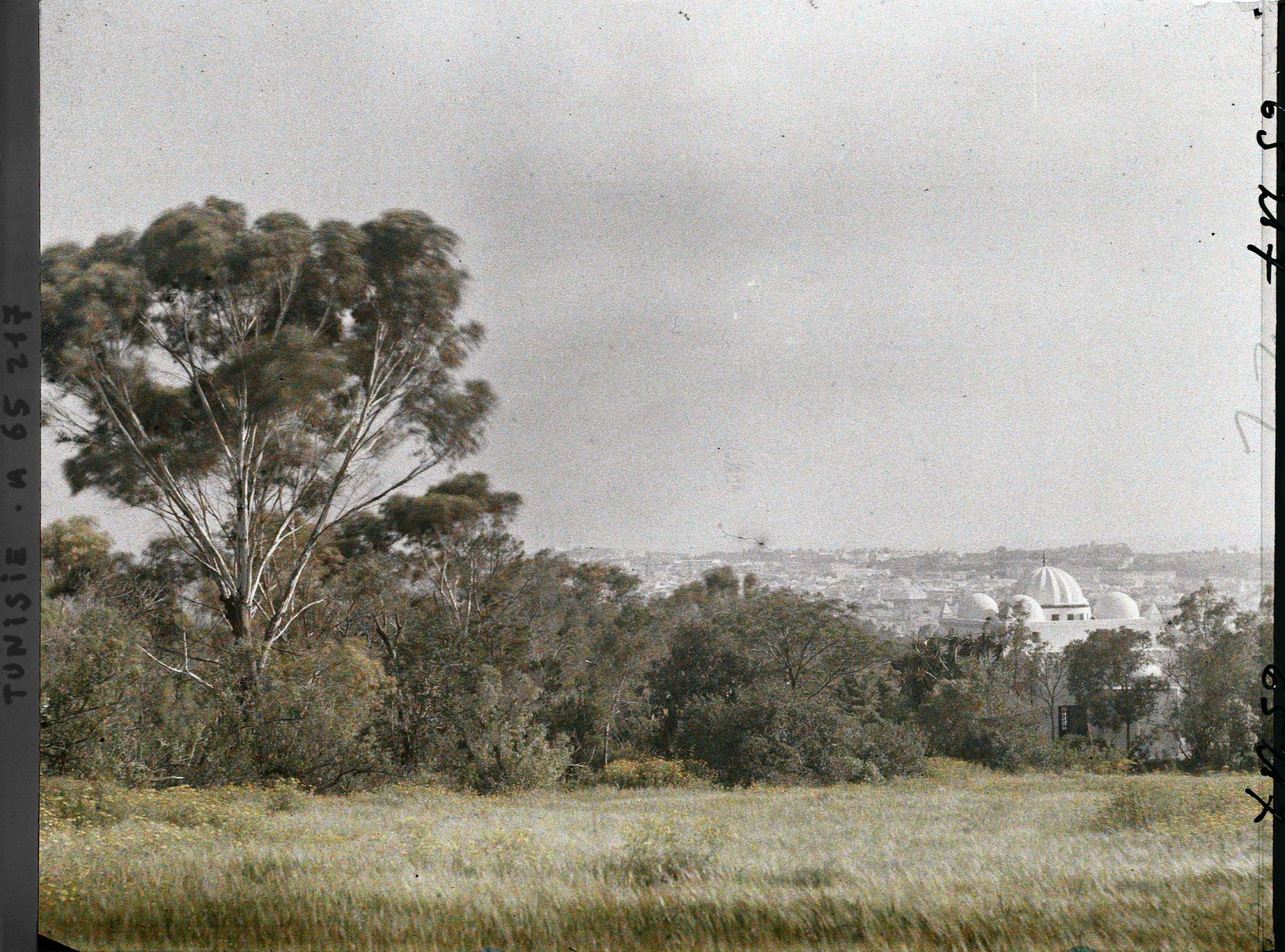 Image représentant Vue de Tunis prise depuis le parc du Belvédère