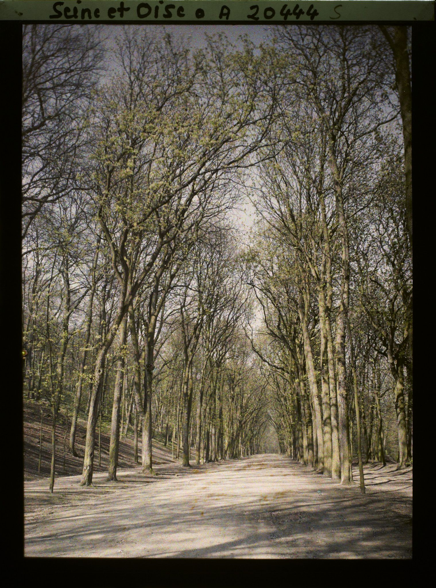 Image représentant Le parc, allée de Sèvres