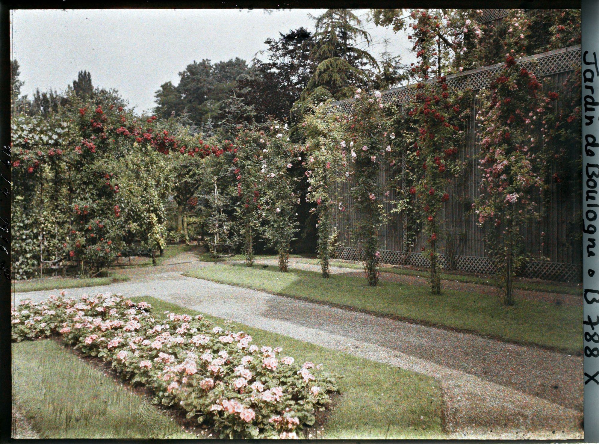 Image représentant Angle nord-ouest du jardin français, vu en direction du verger roseraie et de la forêt bleue