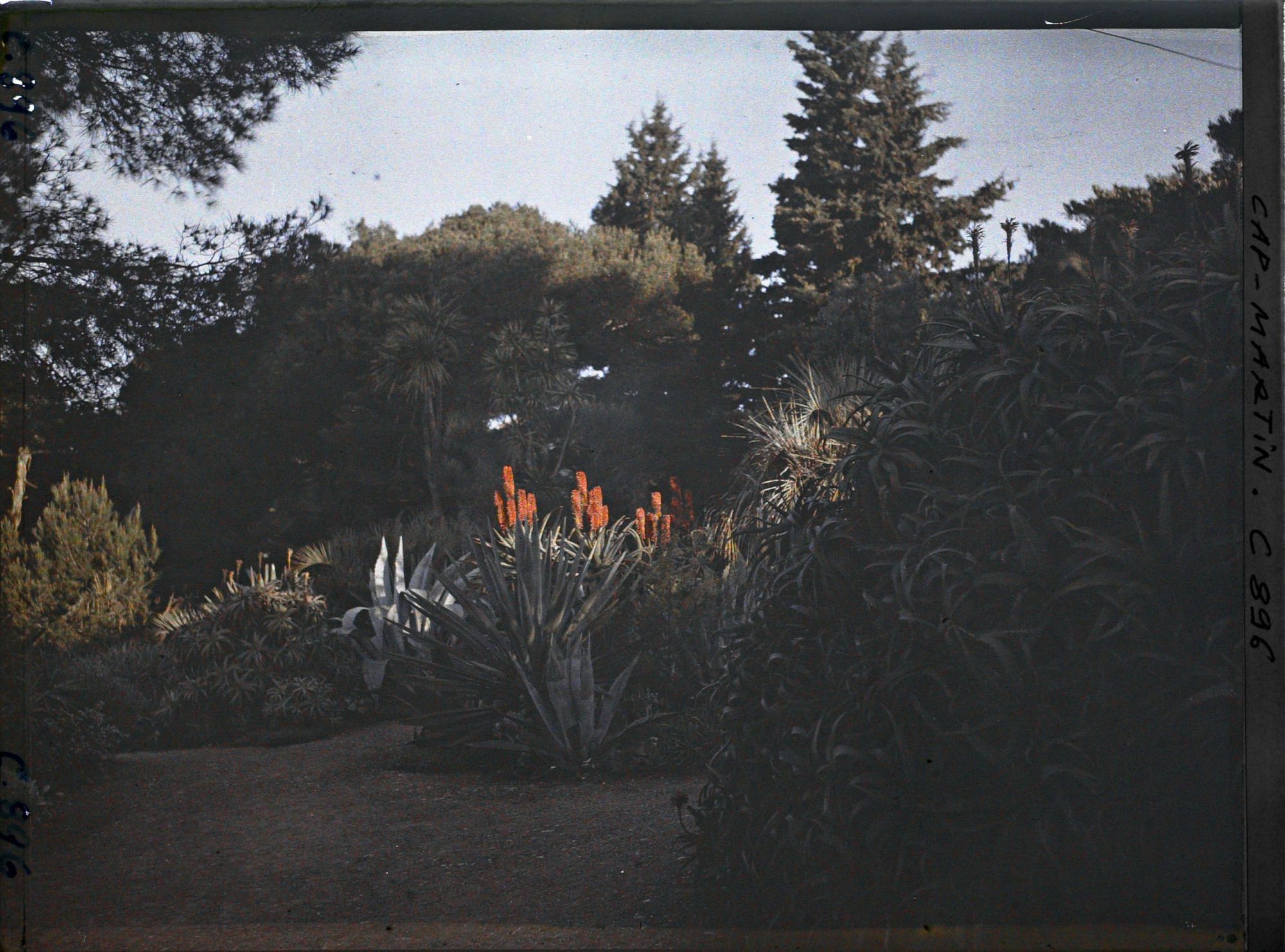 Image représentant Le Jardin au Soleil levant