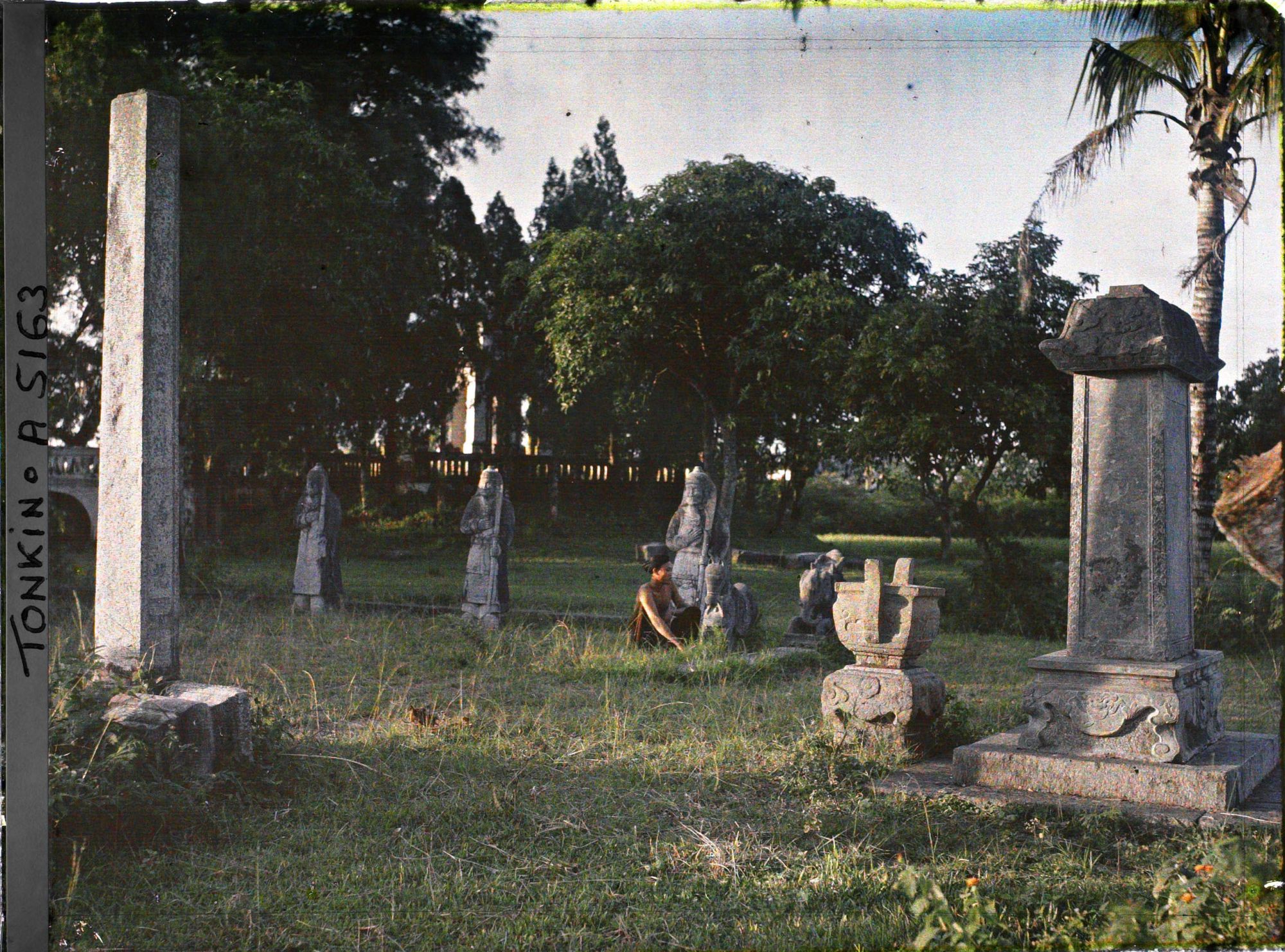 Image représentant Stèles et statues de pierre conduisant à la sépulture mandarinale
