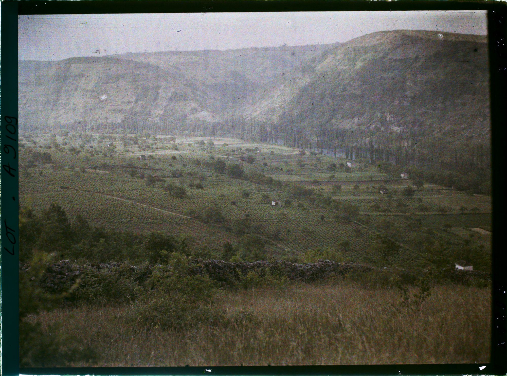 Image représentant France, Luzech, Vue prise de la Pistoule vers le sud : le tapis de vignes parsemé de maisonnettes