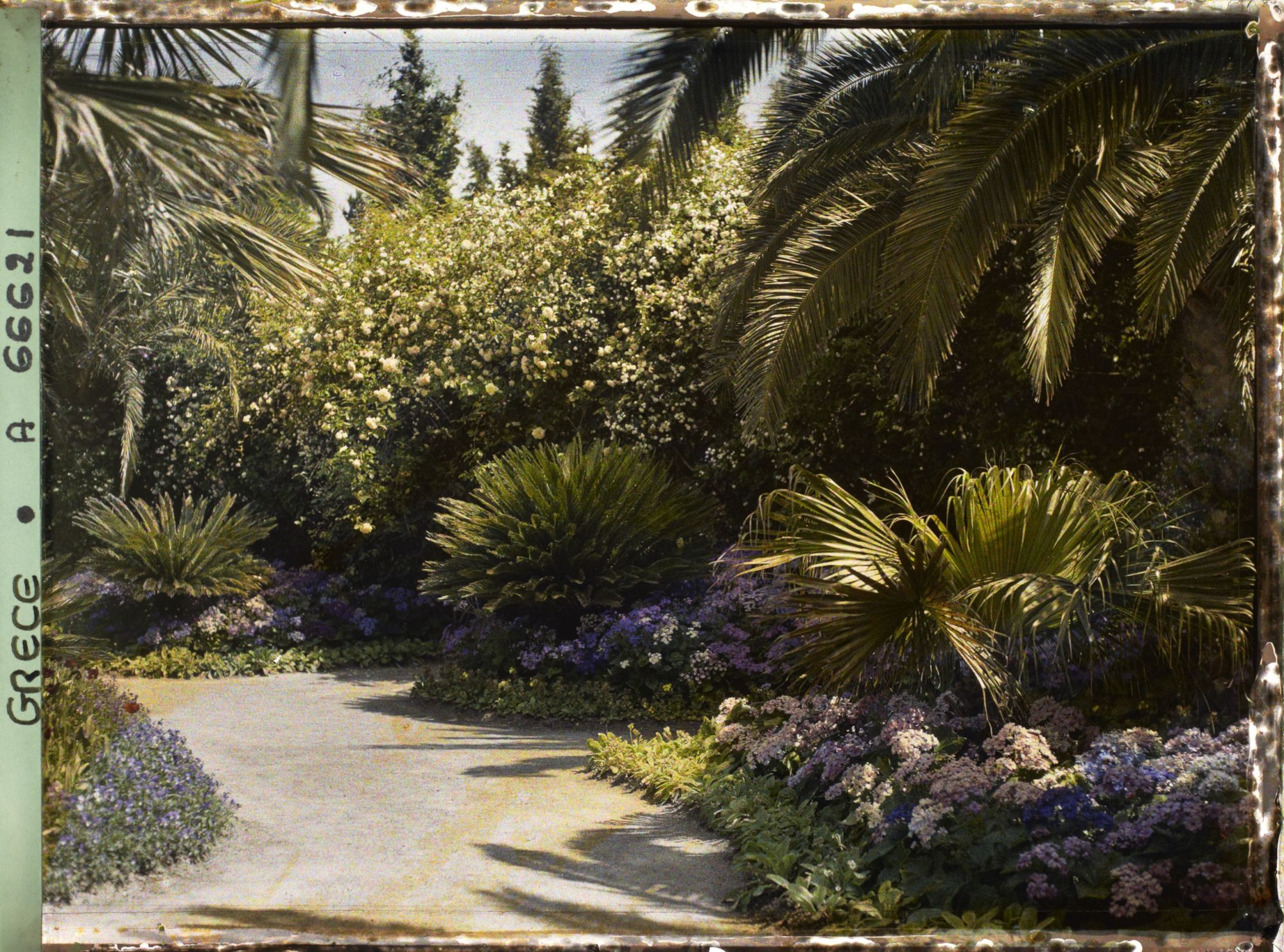 Image représentant L'Achilleion - Les Jardins