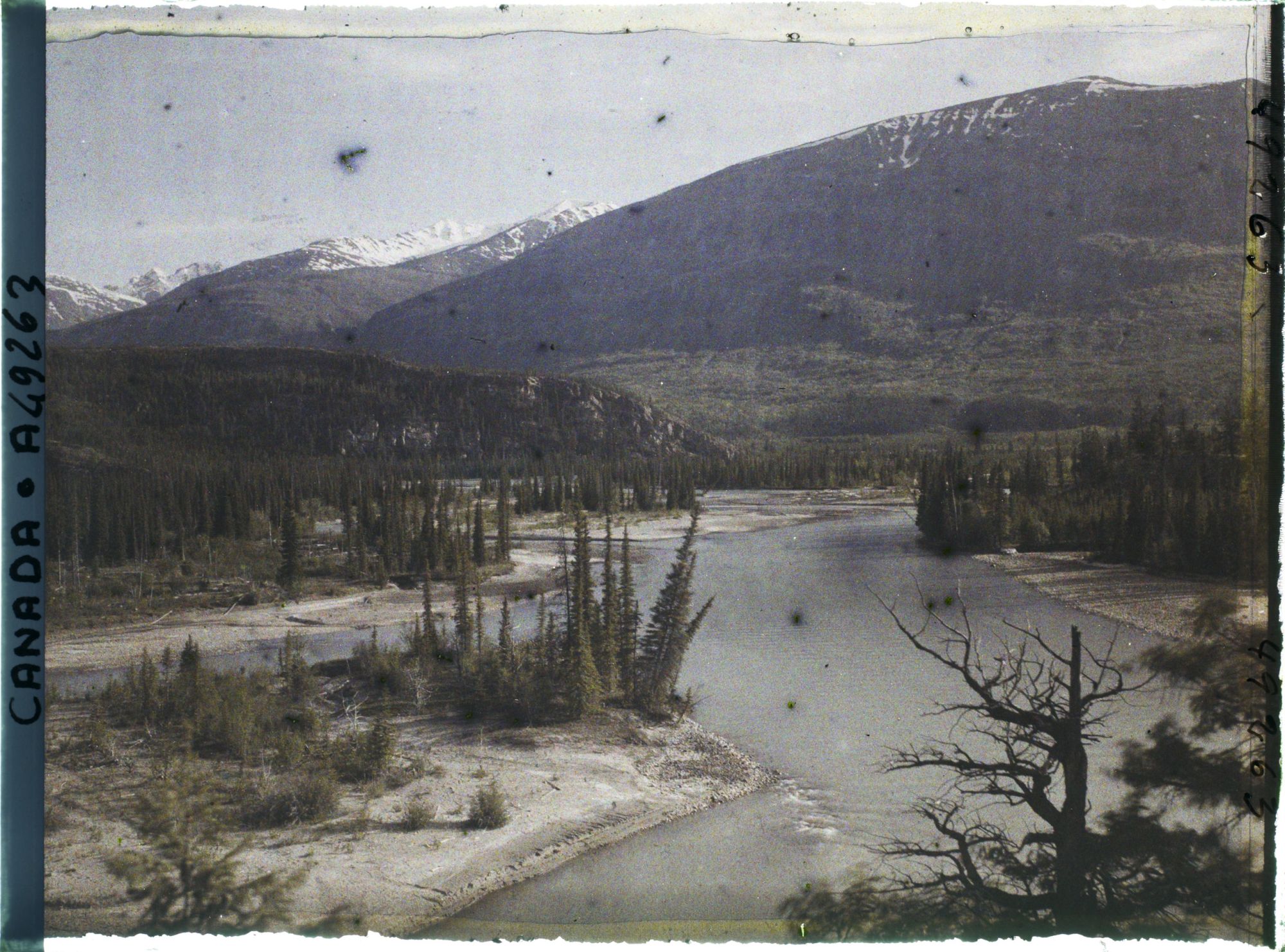 Image représentant Canada, Jasper-Parc, Vallée de l'Athabasca