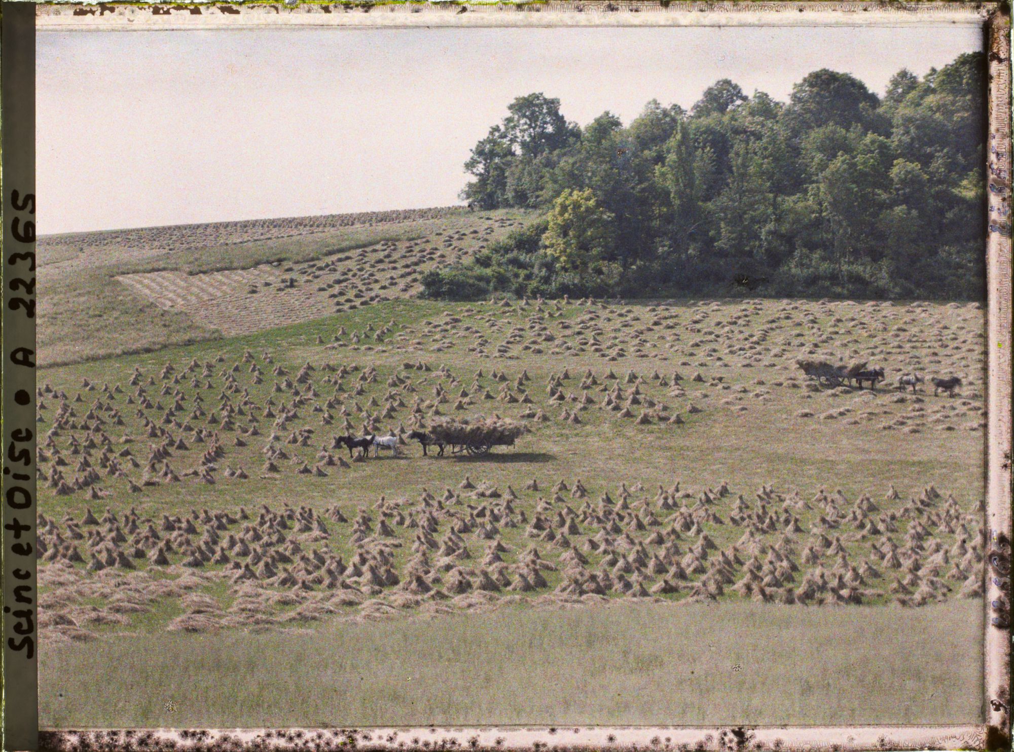 Image représentant France, Beynes, Le Chargement du foin près du Village