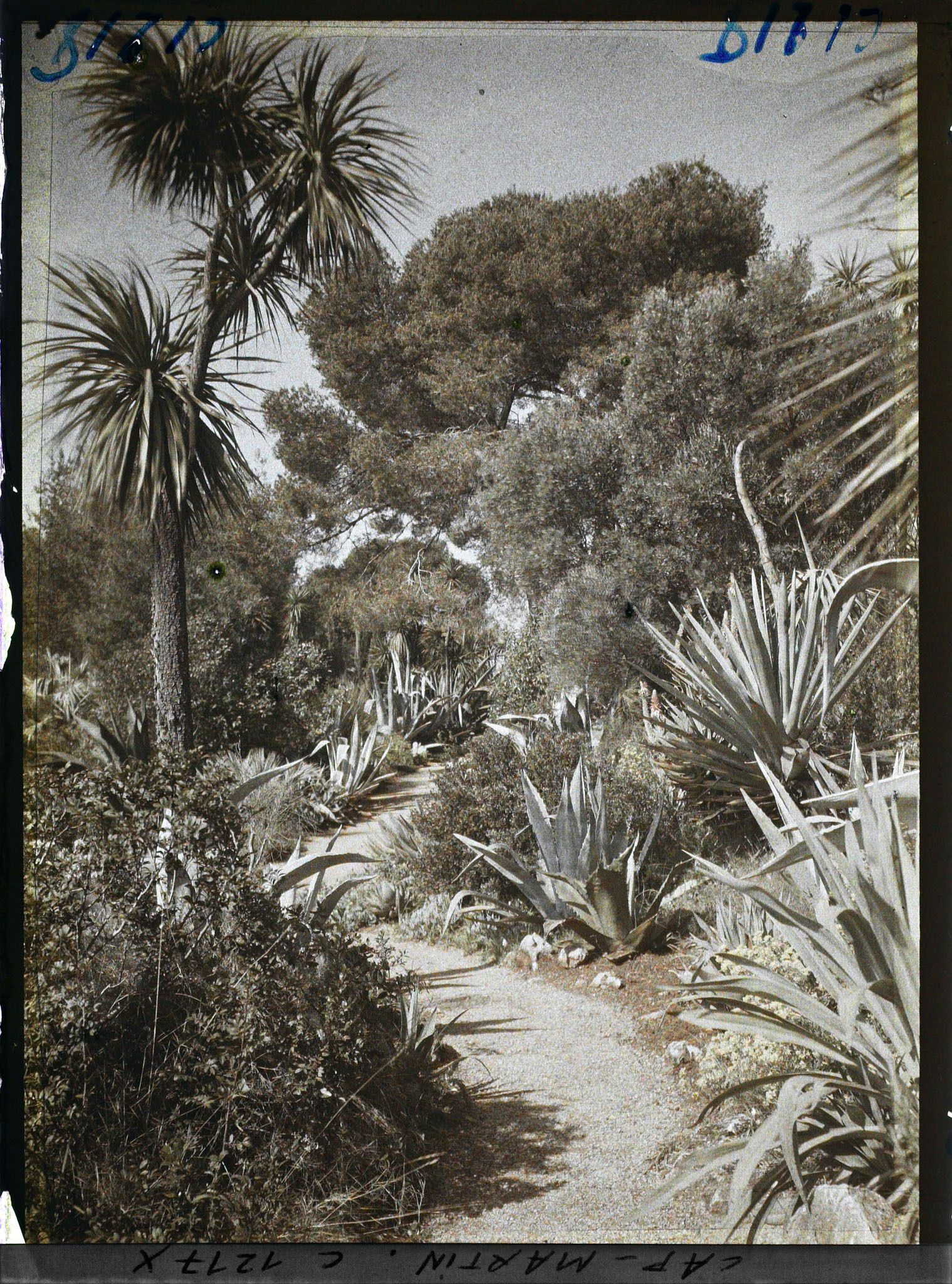 Image représentant coucher de Soleil