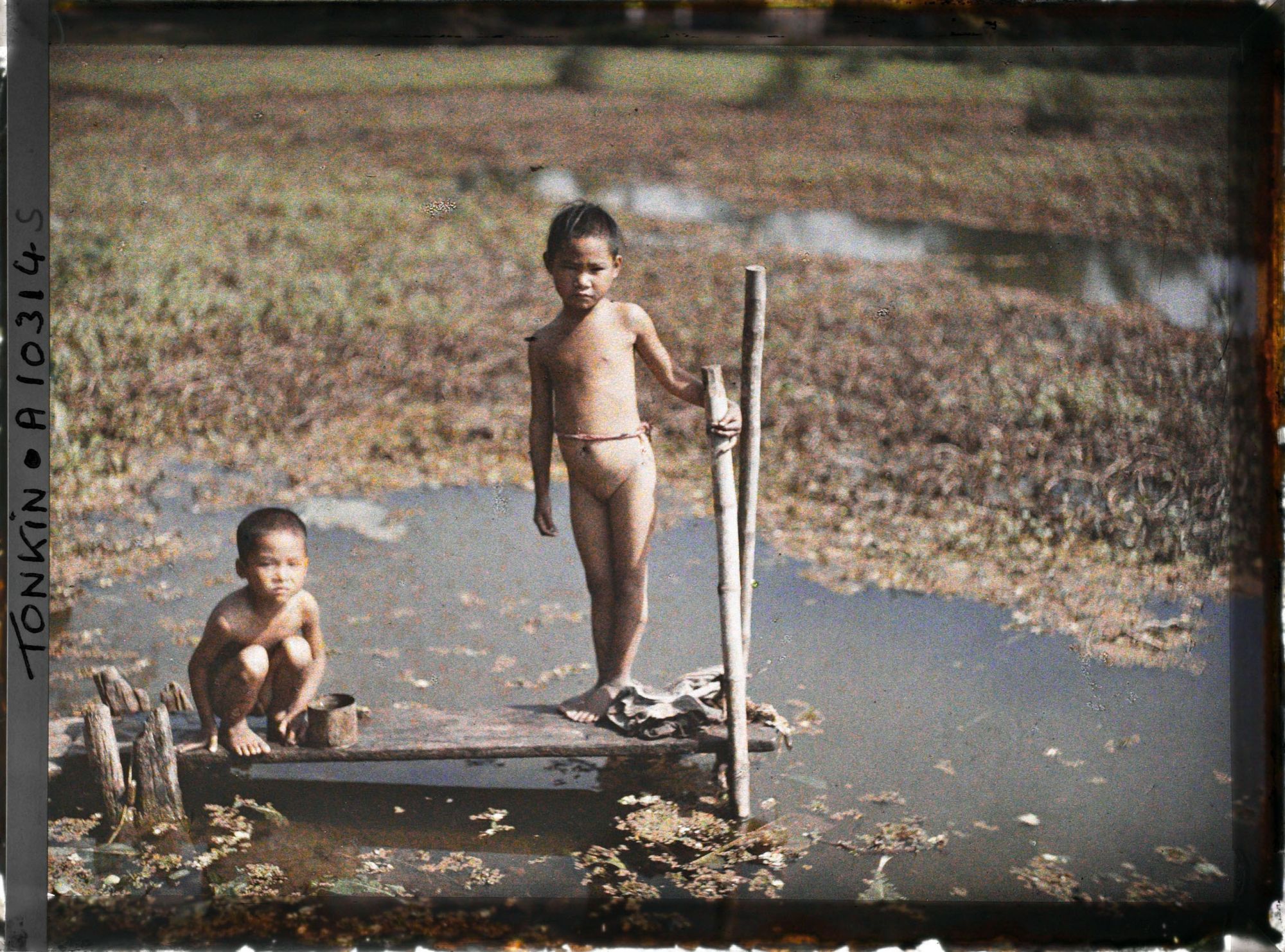 Image représentant Des enfants à la baignade dans un étang partiellement recouvert de liserons d'eau