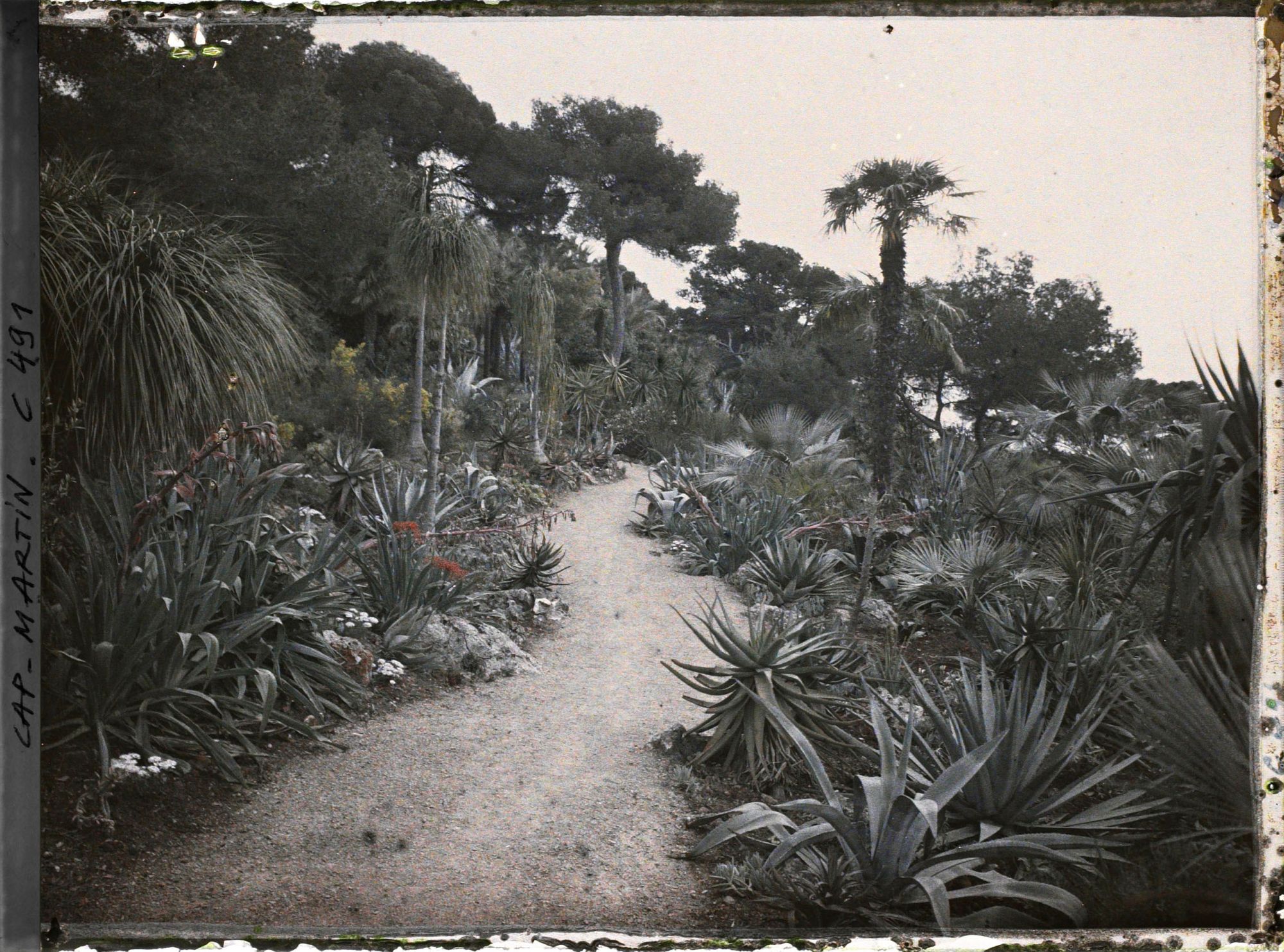 Image représentant Cap Martin Le Jardin