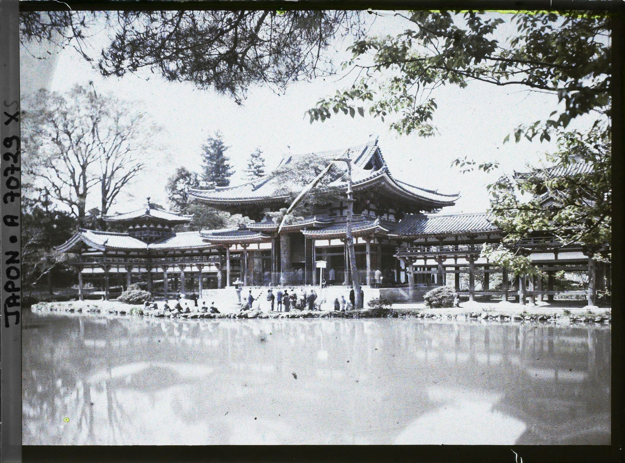Image représentant Temple Byôdô-in : le Hôôdô (pavillon du phoenix) et l'étang aux lotus