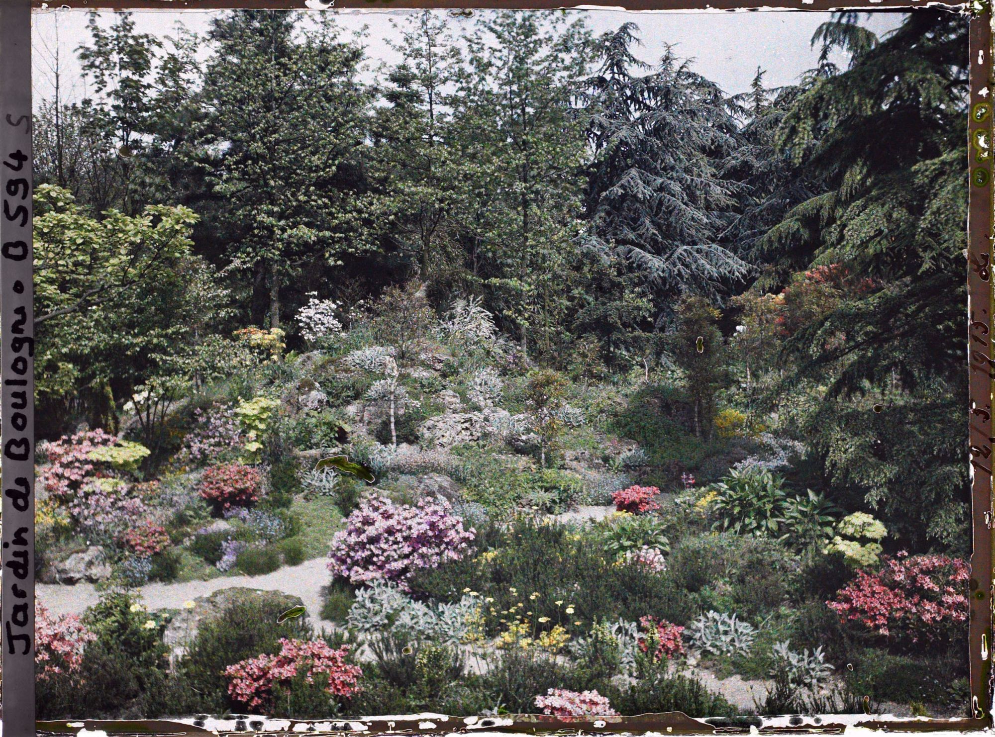 Image représentant jardin japonais