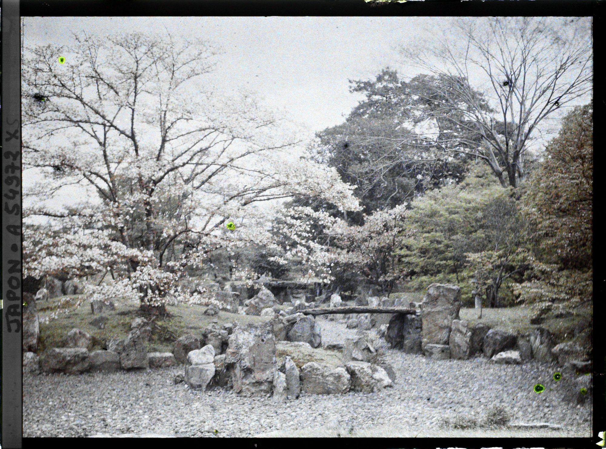 Image représentant Palais Nijô-jô: jardin du Ni-no-Maru