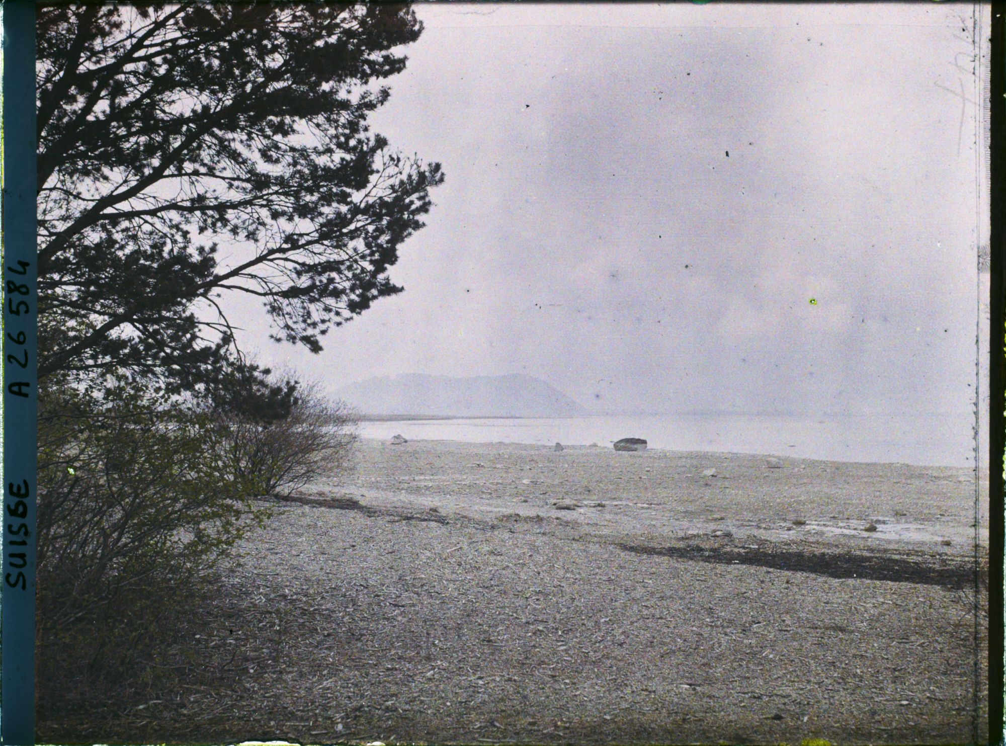Image représentant Les rives de l'île Saint-Pierre