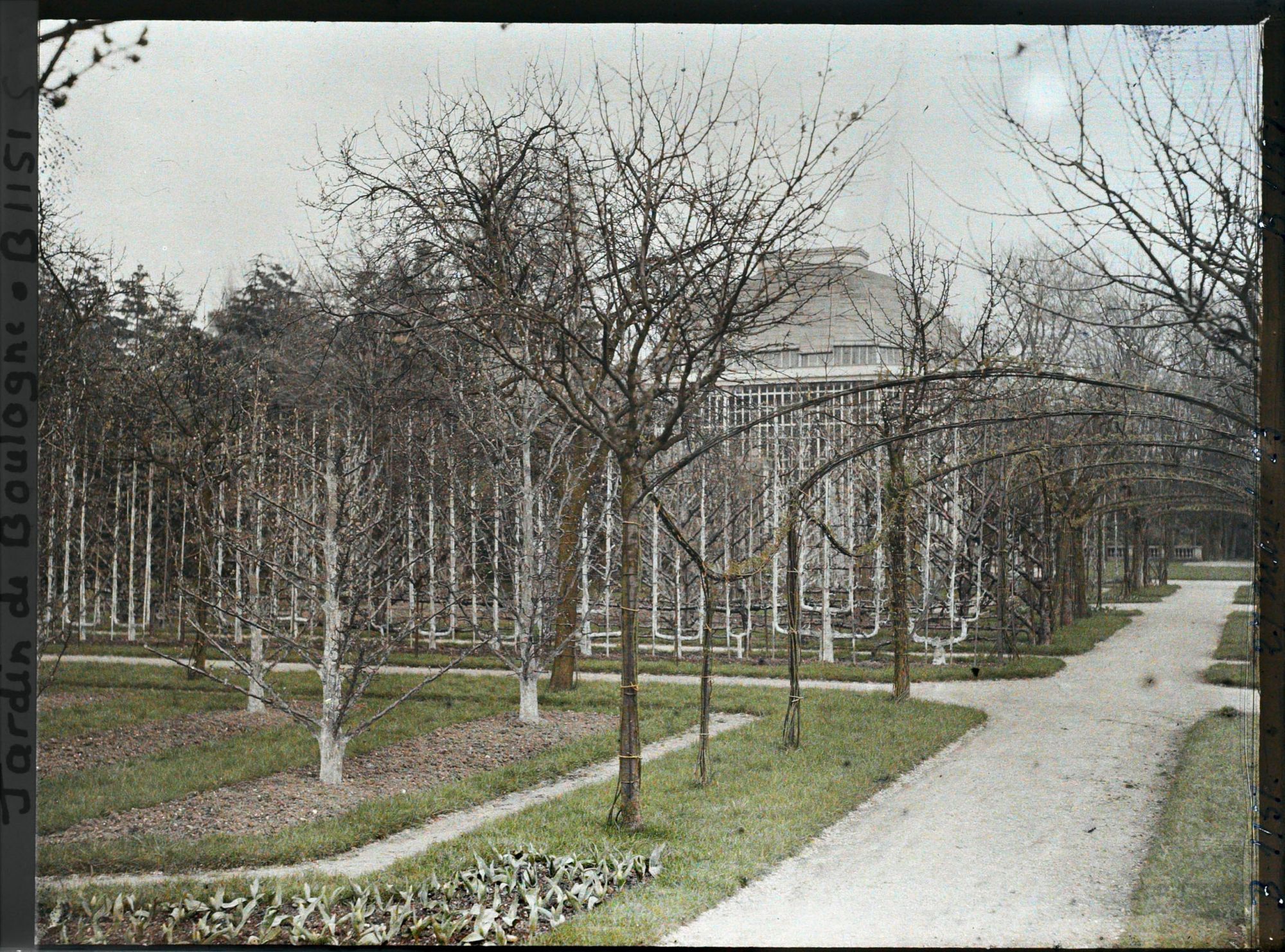 Image représentant Axe central et partie nord-ouest du verger-roseraie, vus depuis le rond-point, côté dépendance